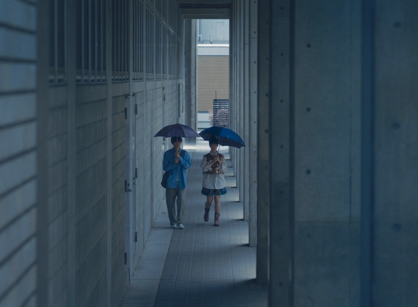 She Taught Me Serendipity (2025) —  shot,  lighting