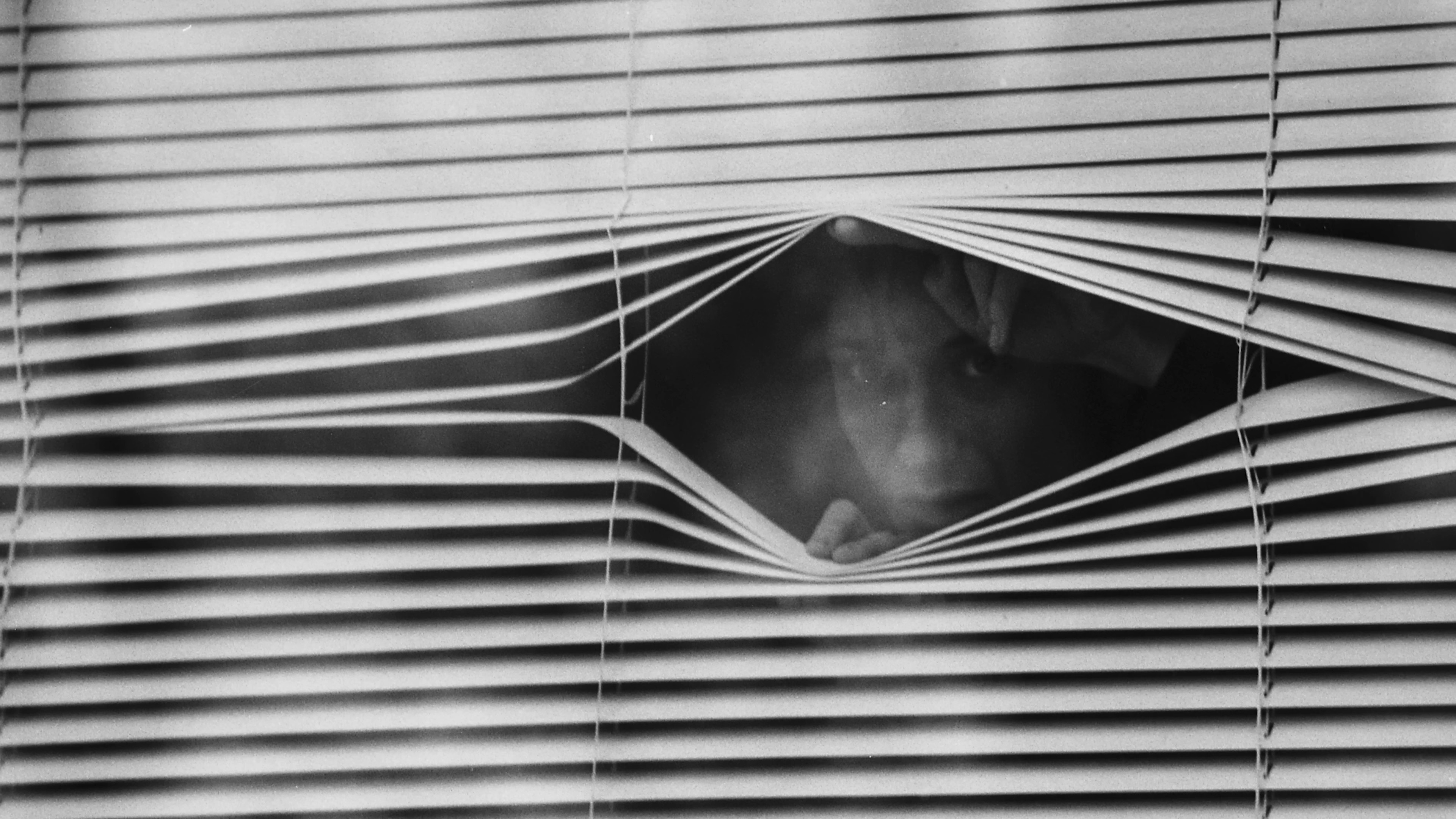 Spades (2025) —  shot,  lighting