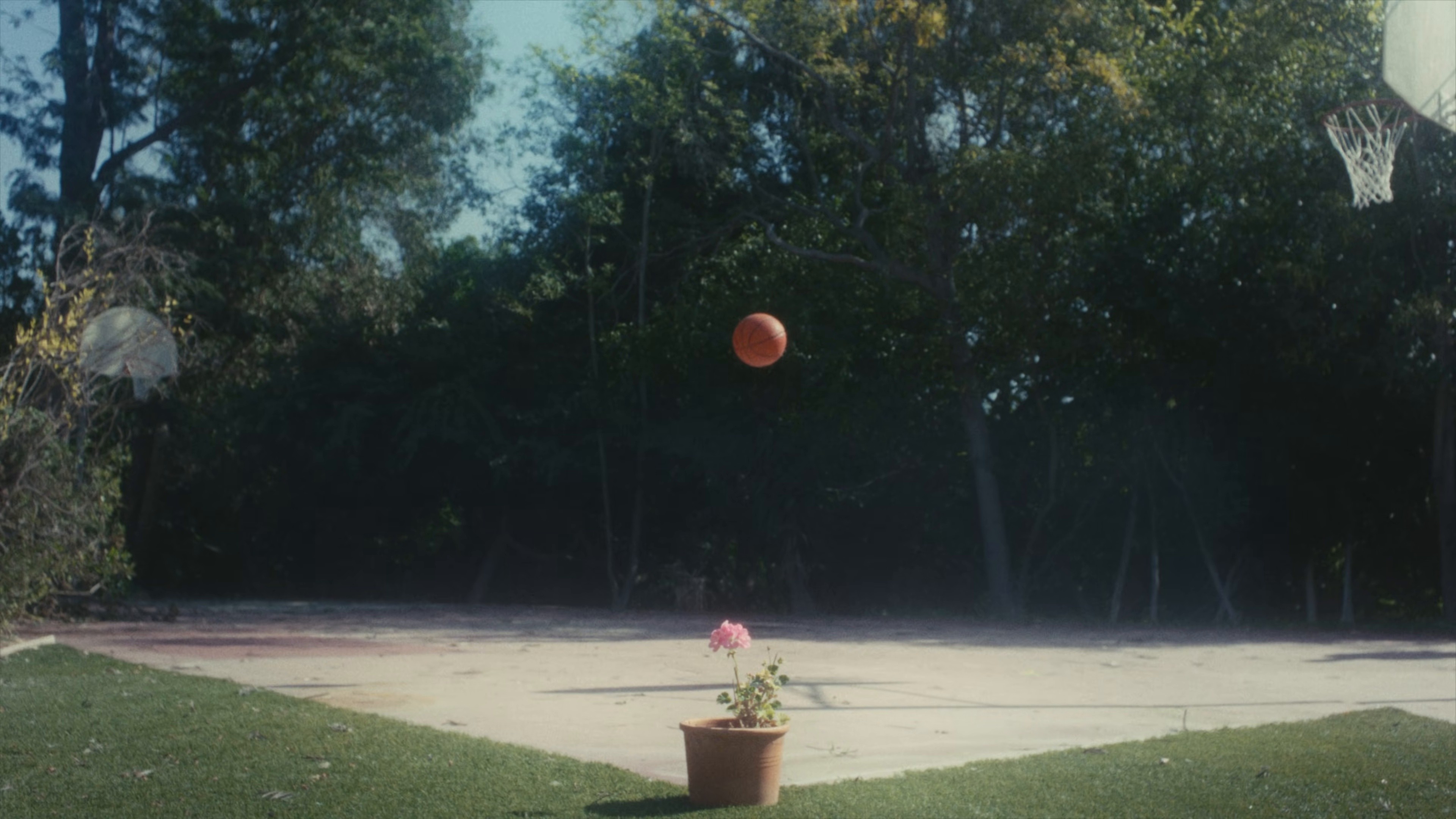 NOT TODAY (2026) —  shot,  lighting