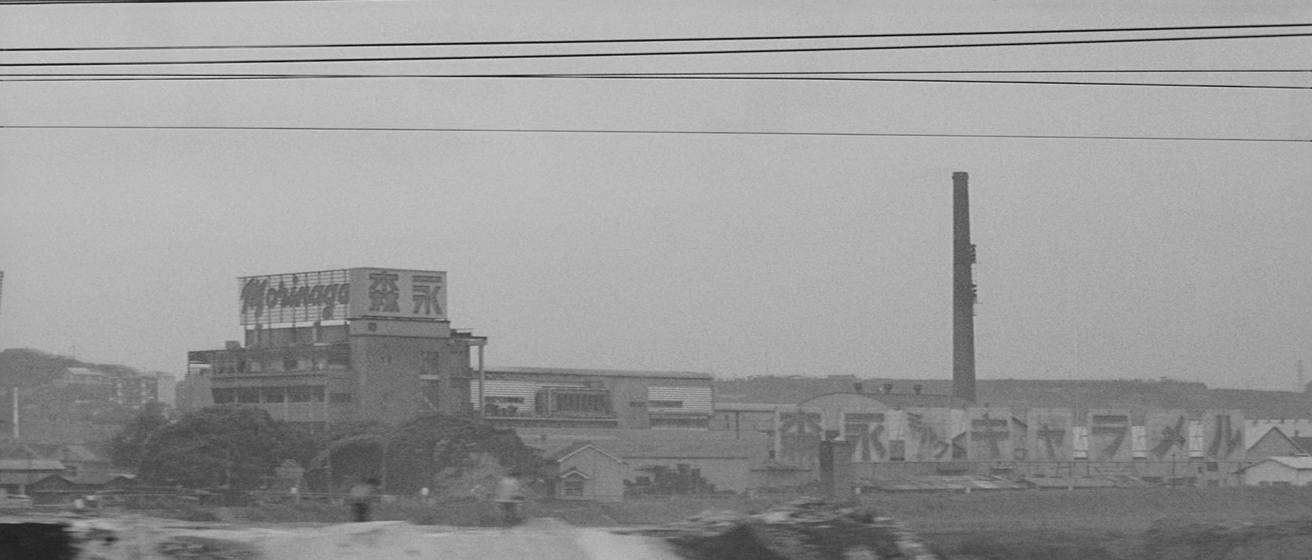 Pale Flower (2023) —  shot,  lighting