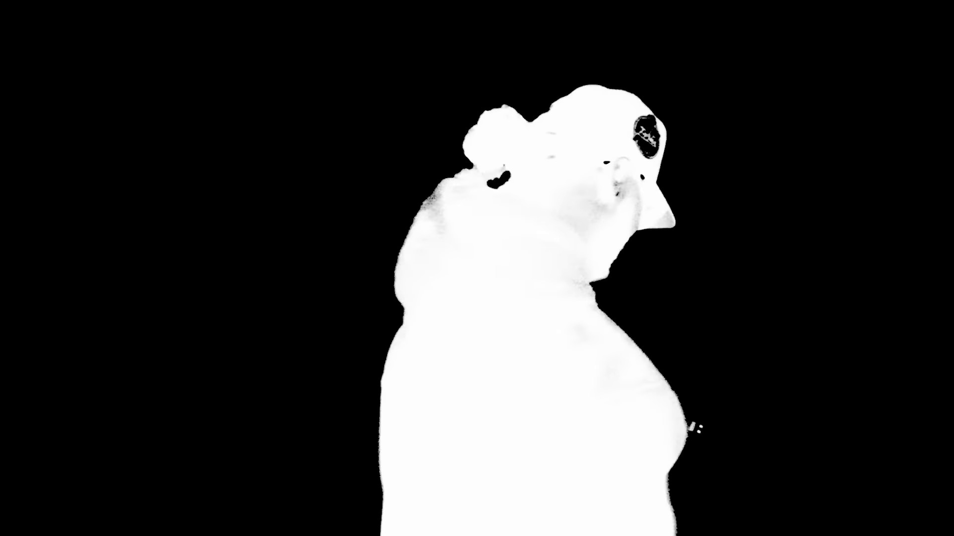 We Still Don't Trust You (2024) —  shot,  lighting