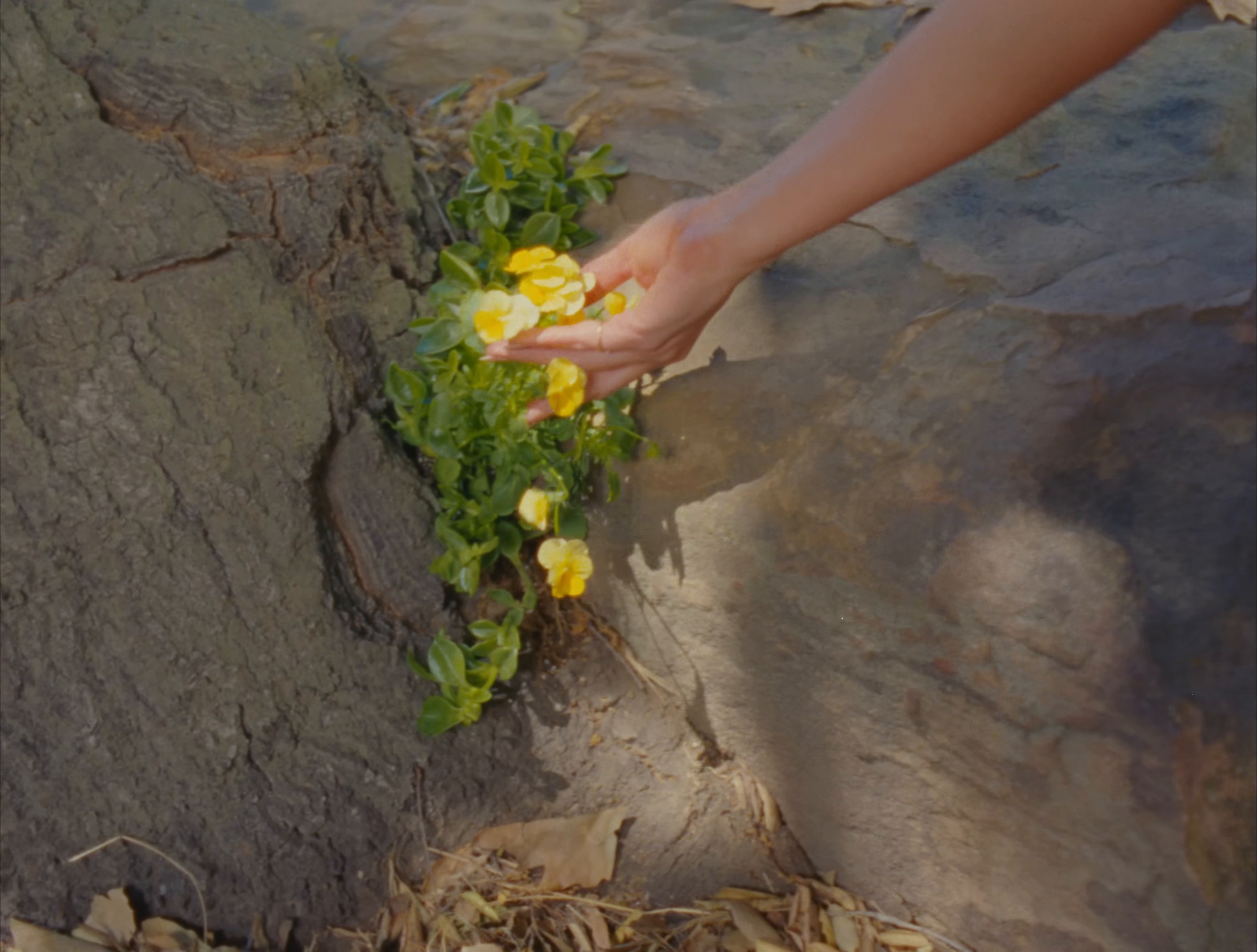 The Architect (2024) —  shot,  lighting