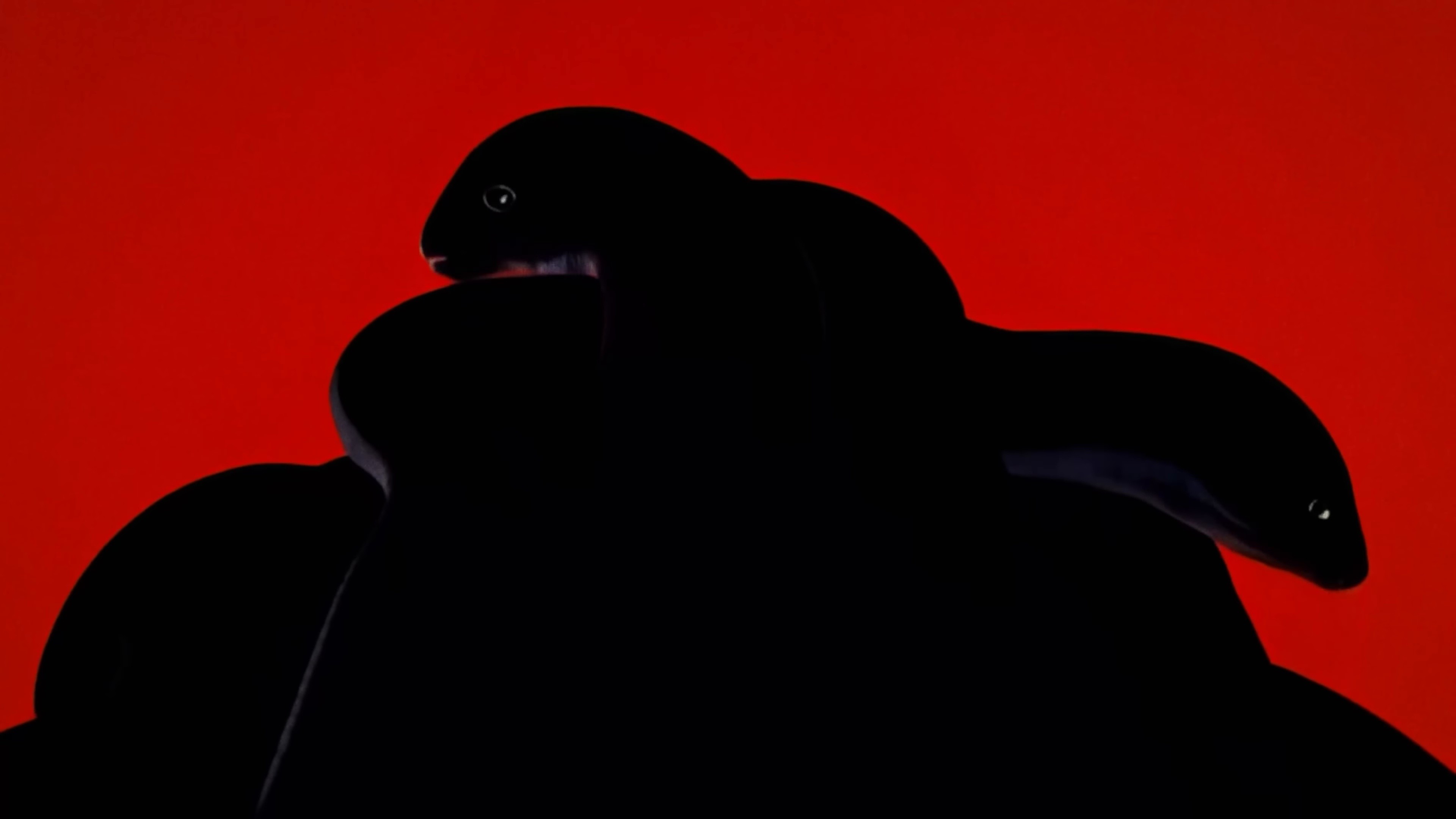 töltény (2025) —  shot,  lighting