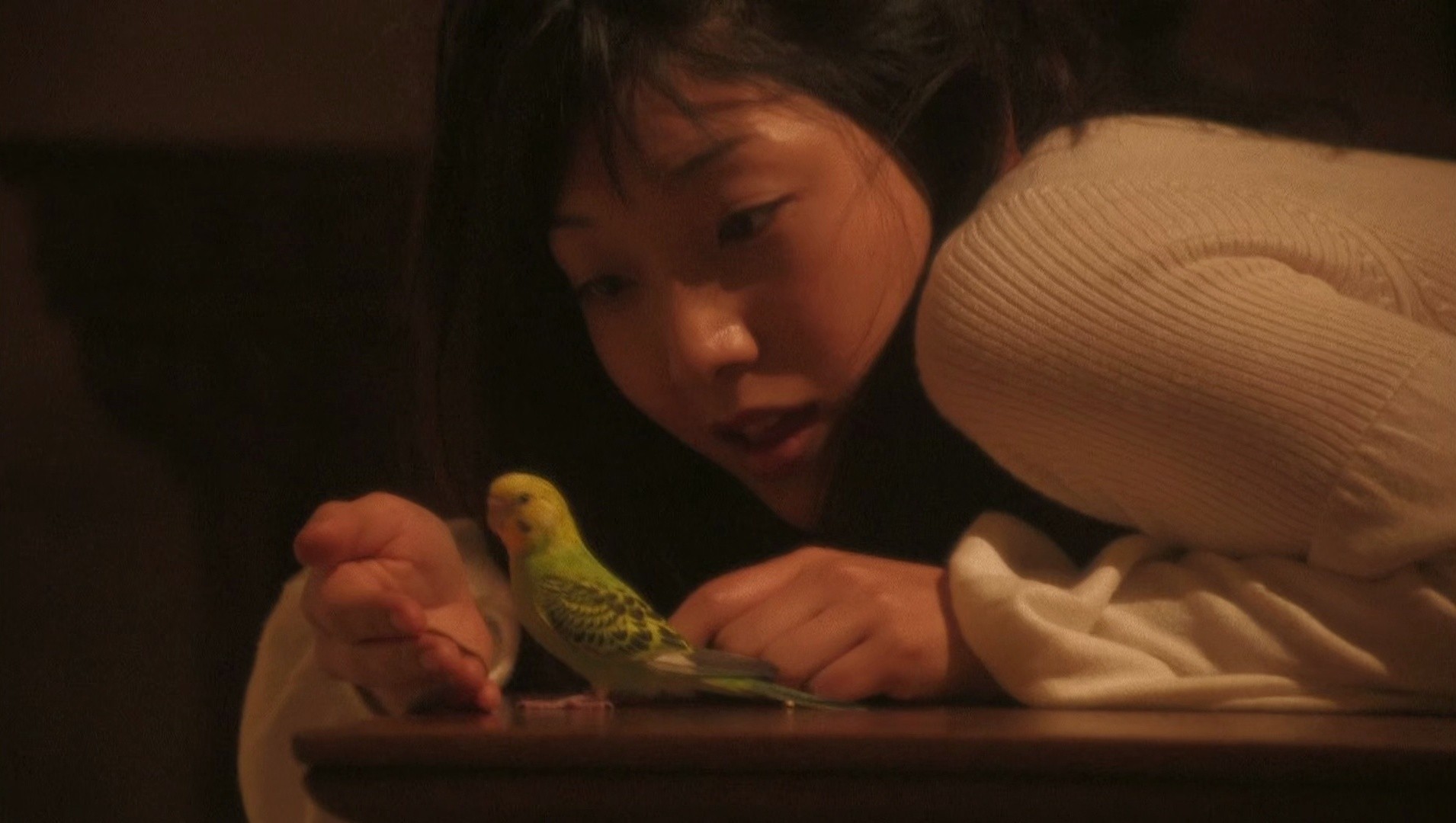 Love Exposure (2009) —  shot,  lighting