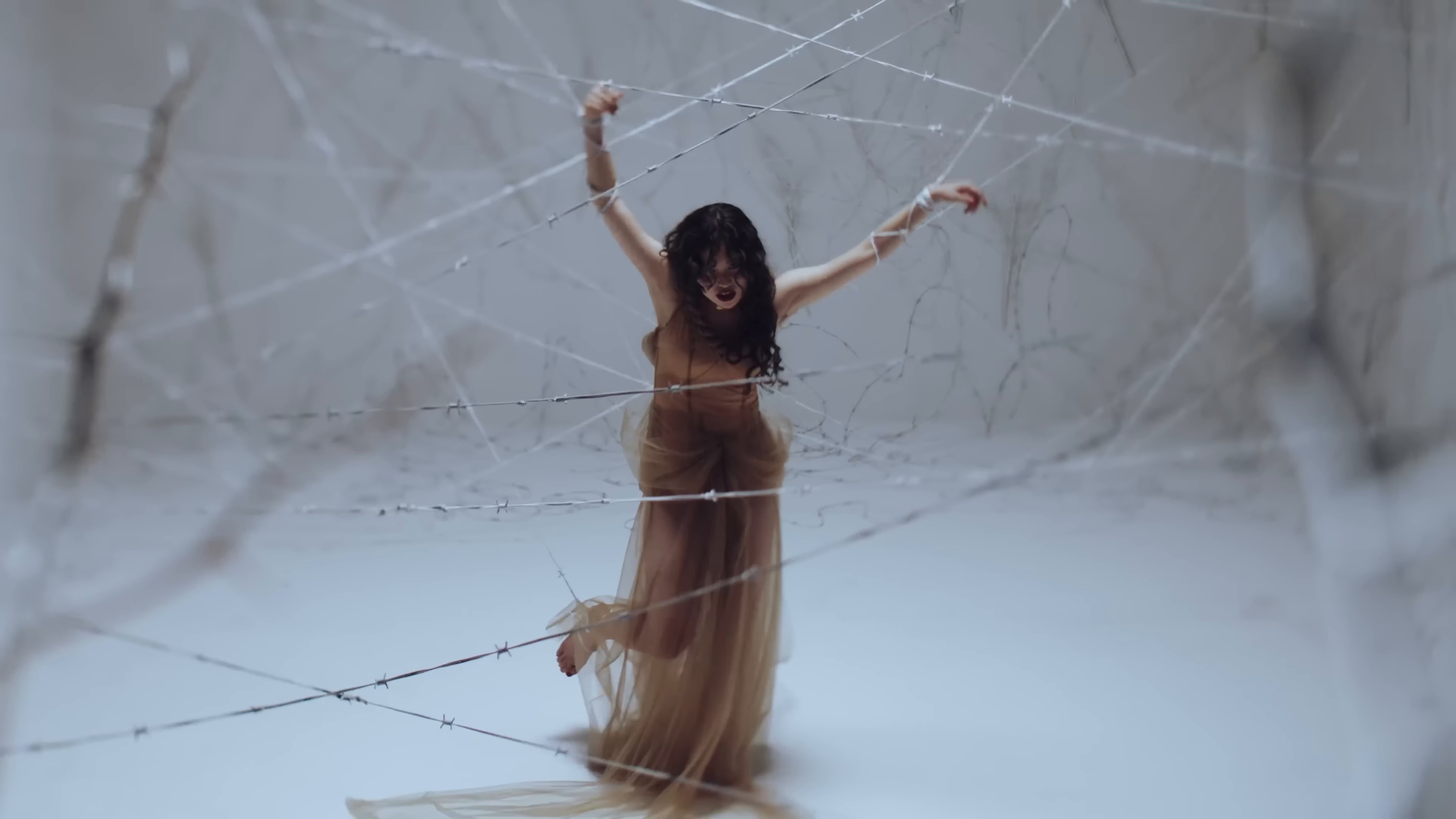 Rose (2025) —  shot,  lighting