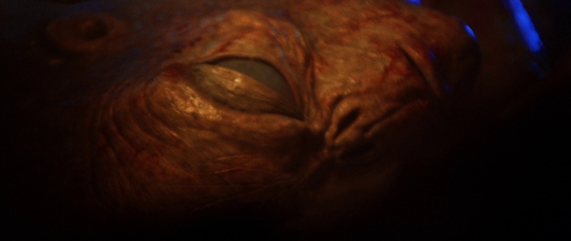 The X Files (1998) —  shot,  lighting