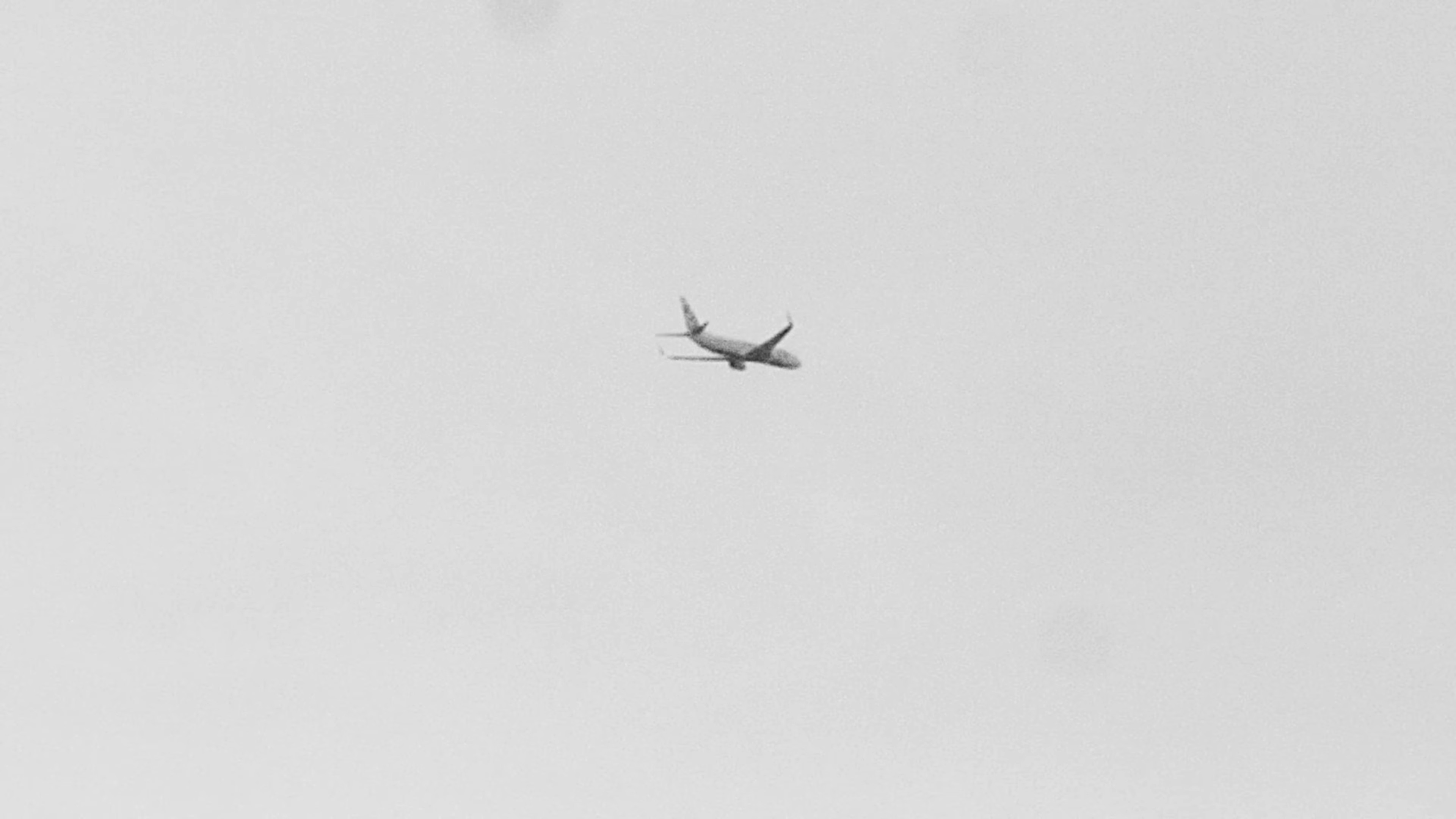 You are everywhere (2023) —  shot,  lighting