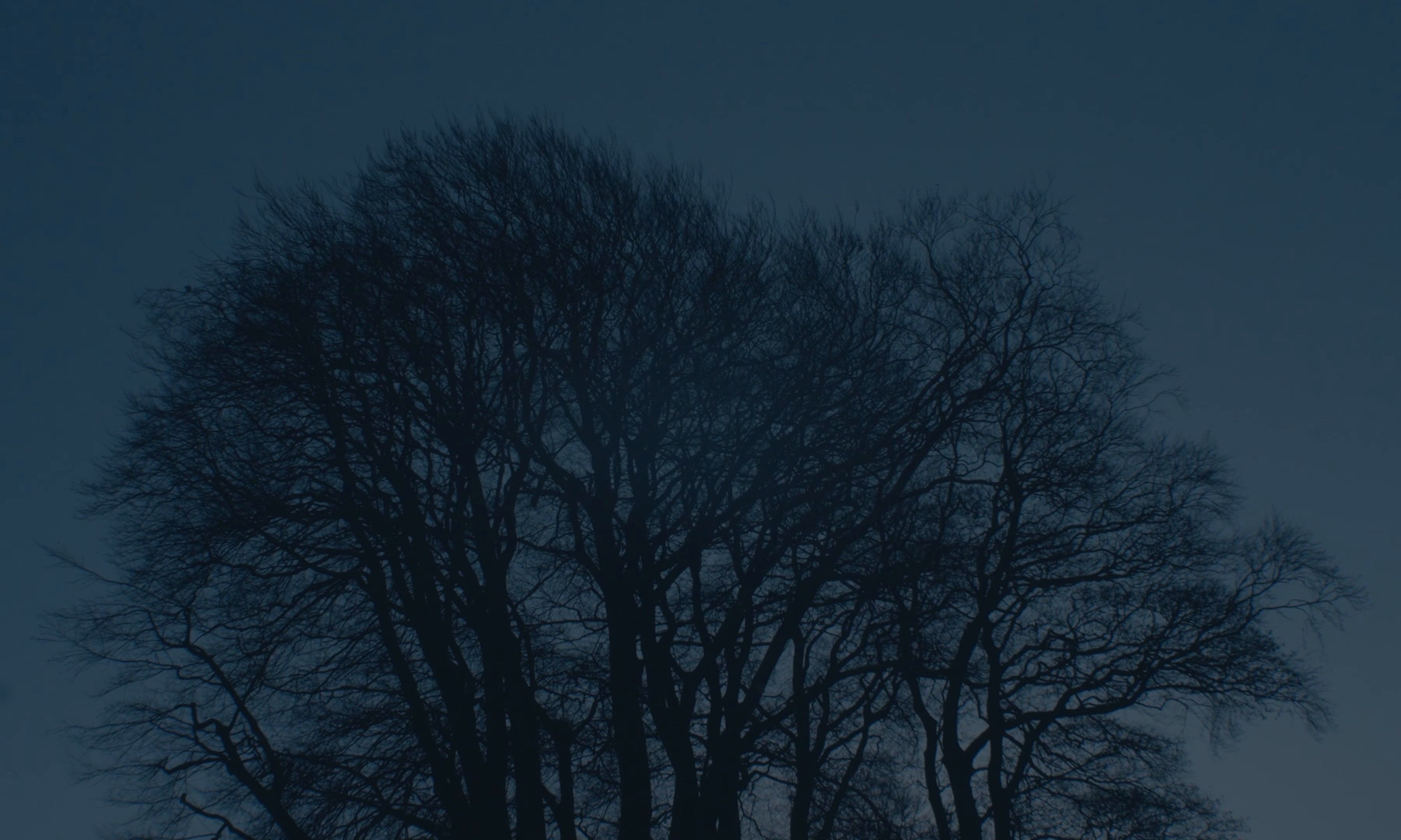 Whisper (2026) —  shot,  lighting