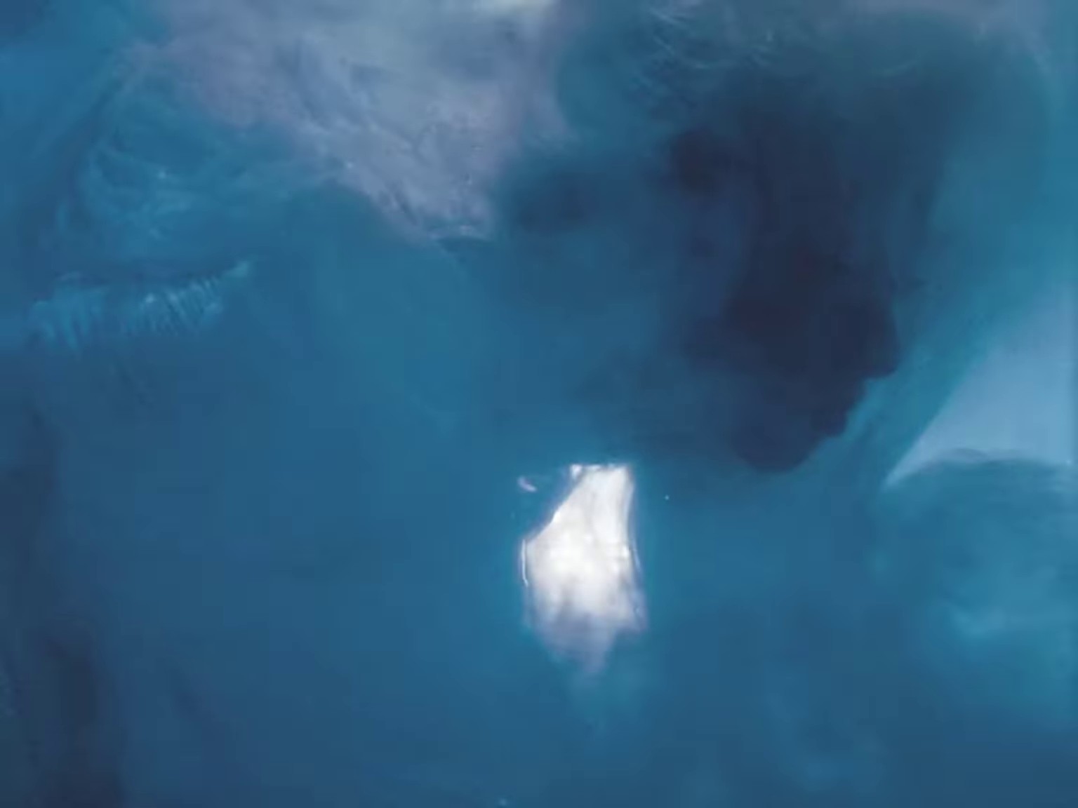 something in the water (2024) —  shot,  lighting