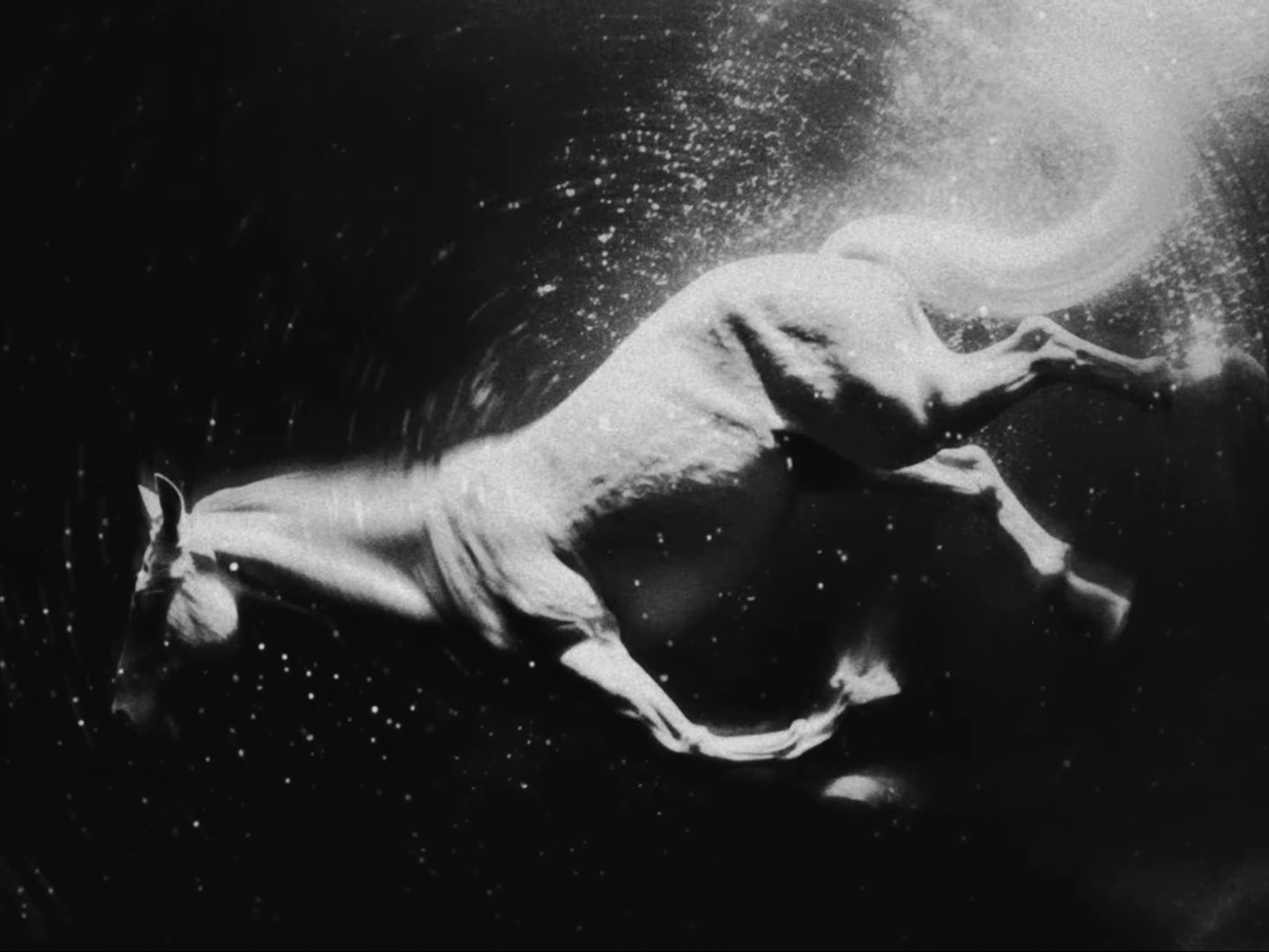 I Saw The Mountains (2025) —  shot,  lighting