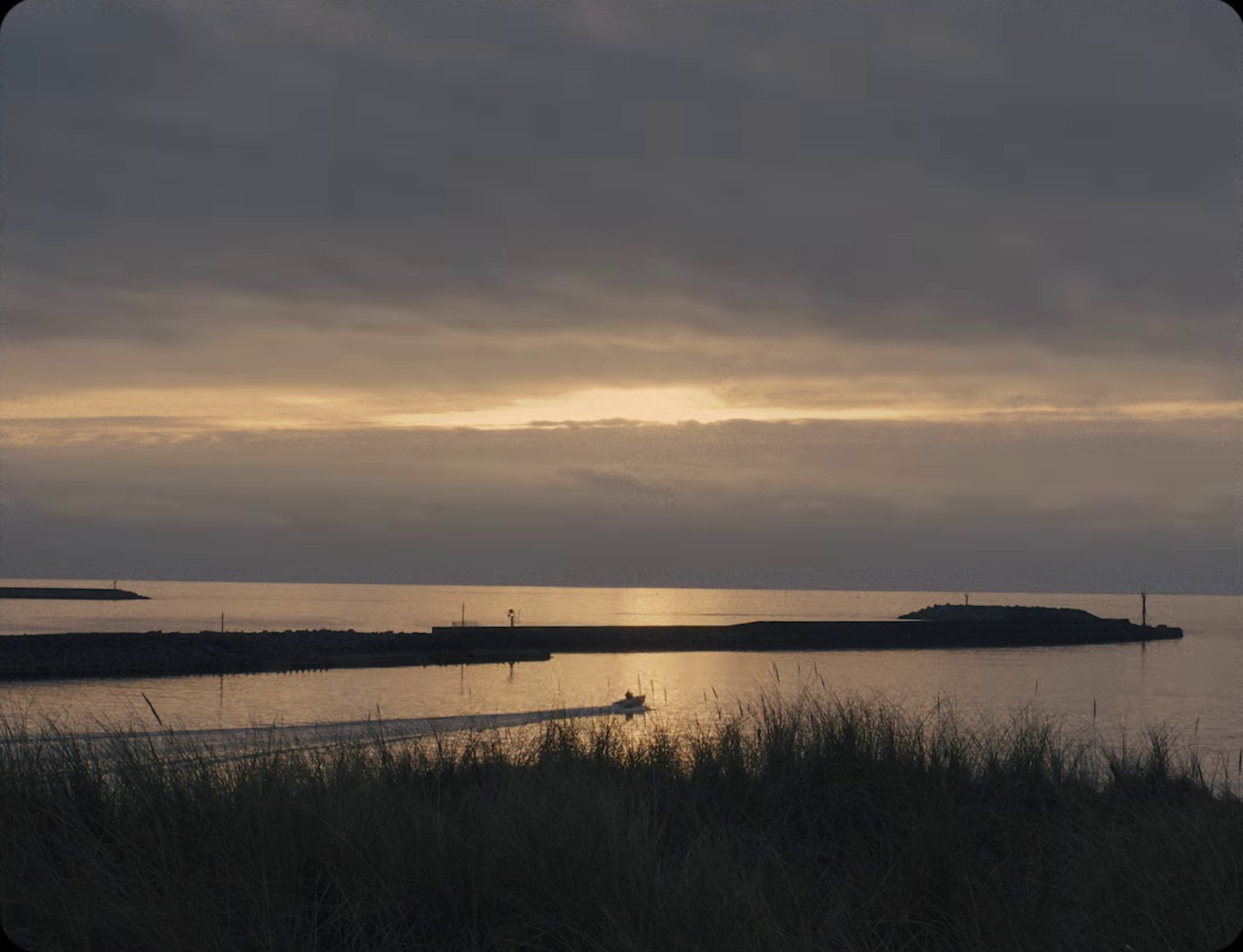 Corduroy (2024) —  shot,  lighting
