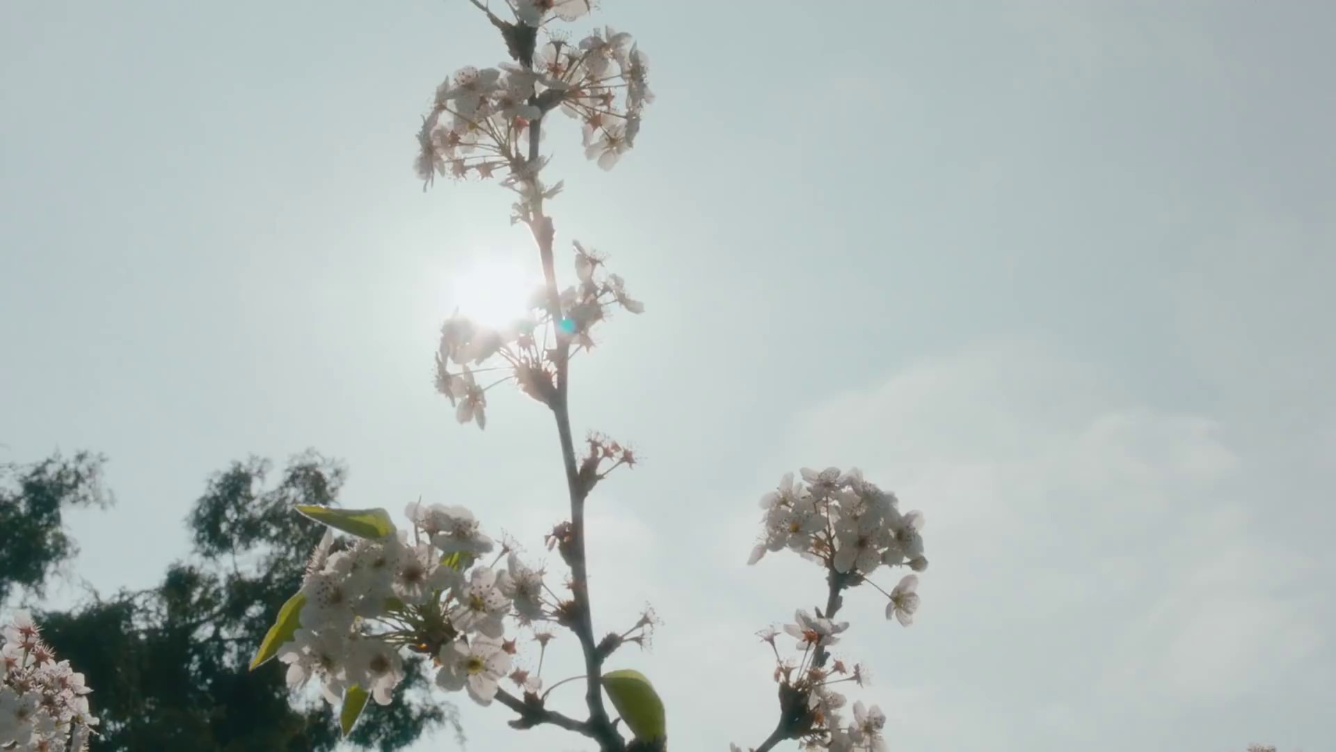 Fetish (2021) —  shot,  lighting