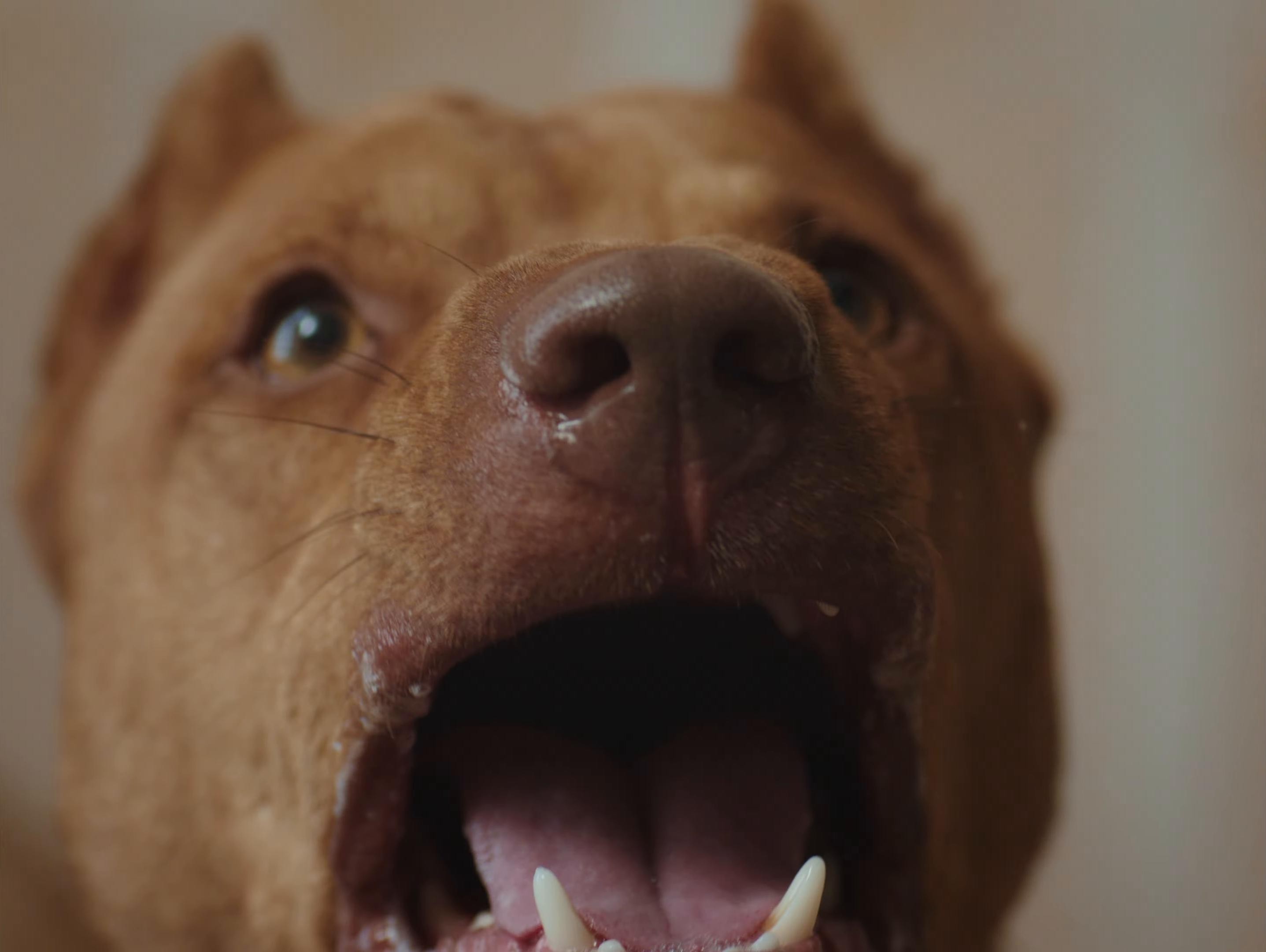 T&A (2025) —  shot,  lighting