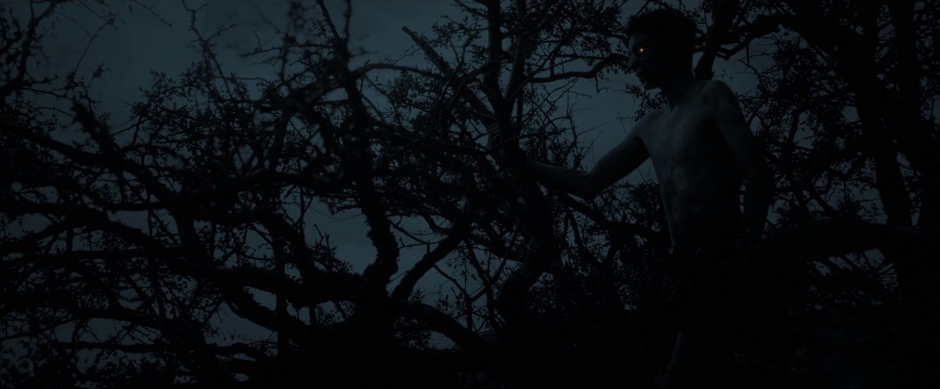 How Long? (2013) —  shot,  lighting