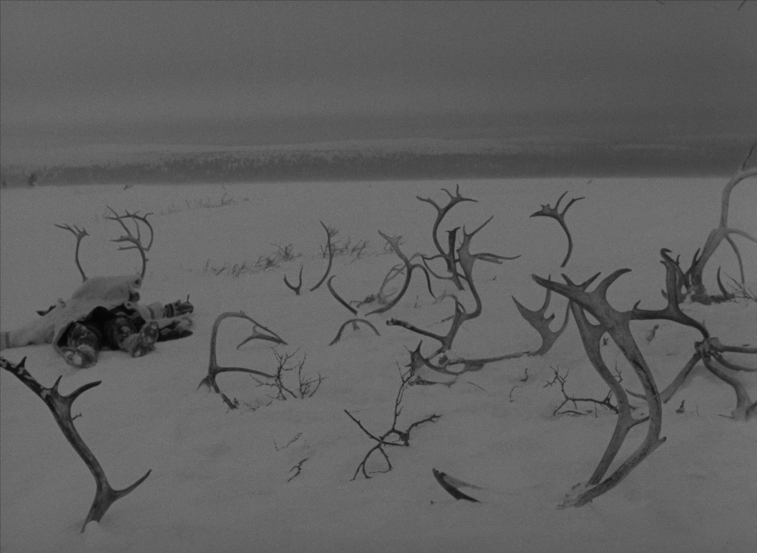 The White Reindeer (1952) —  shot,  lighting