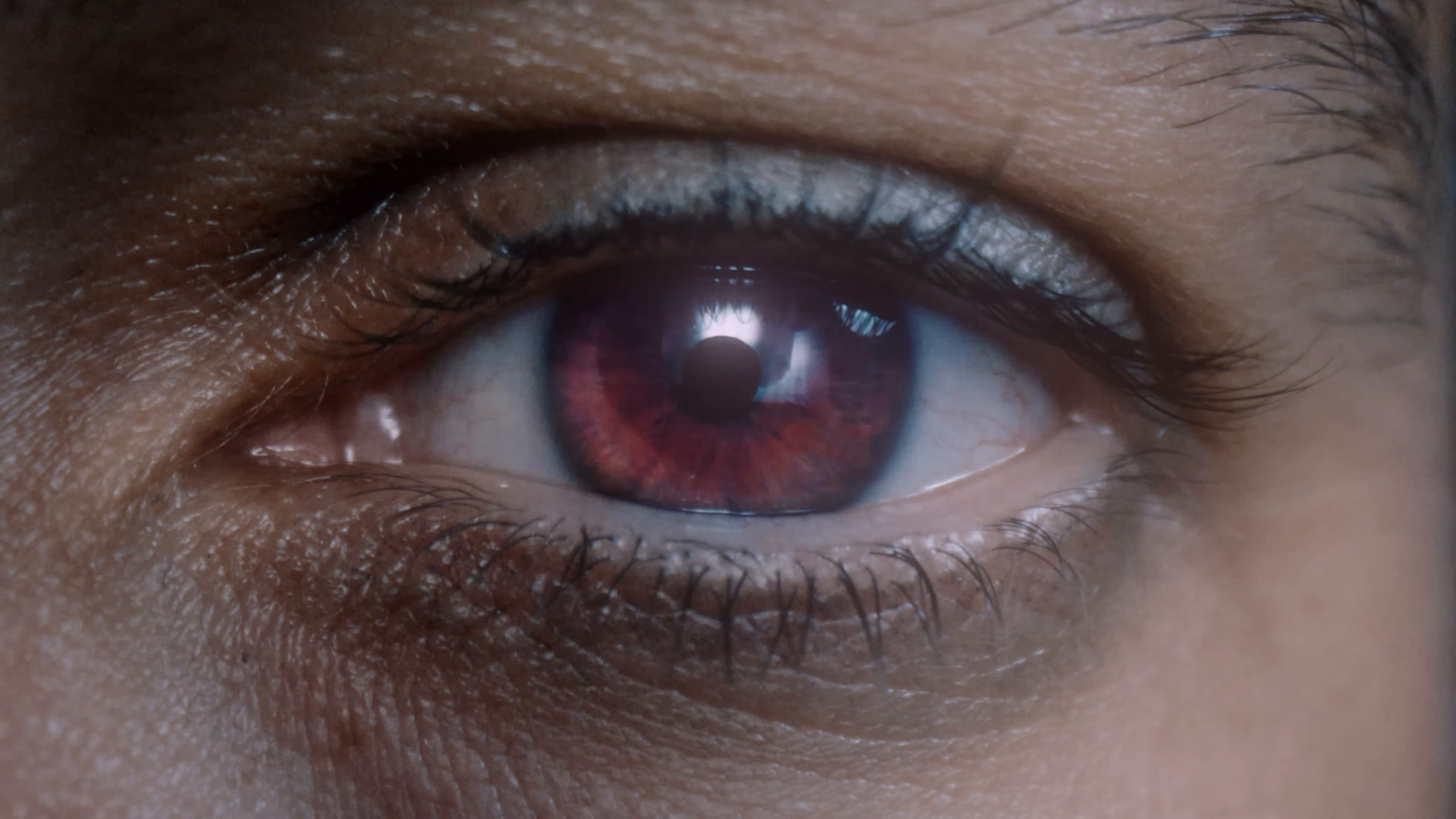 The Contract (2025) —  shot,  lighting