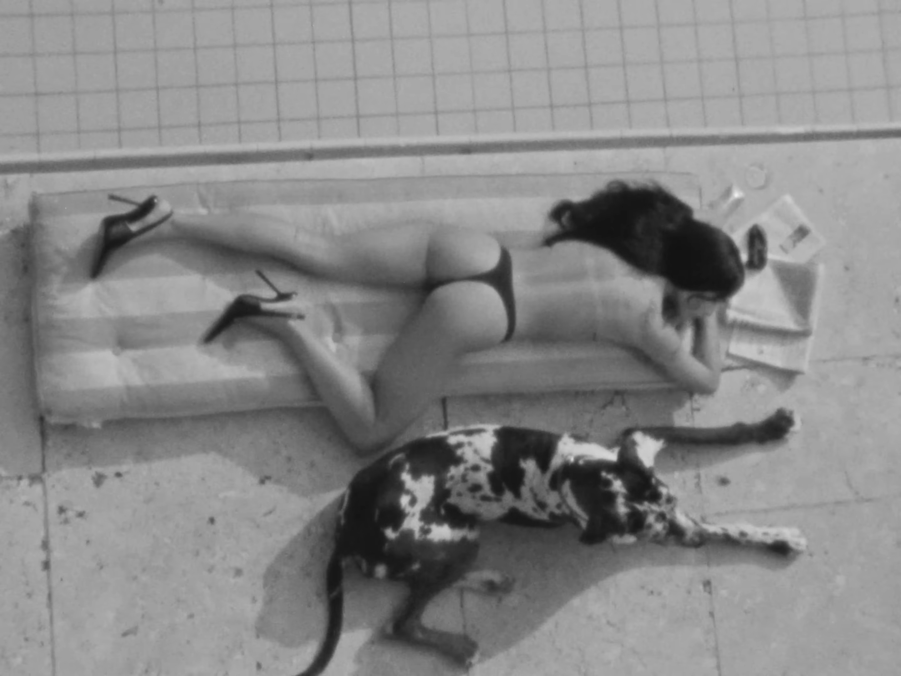 SAINT LAURENT - ZOË BY PURIENNE (2024) —  shot,  lighting