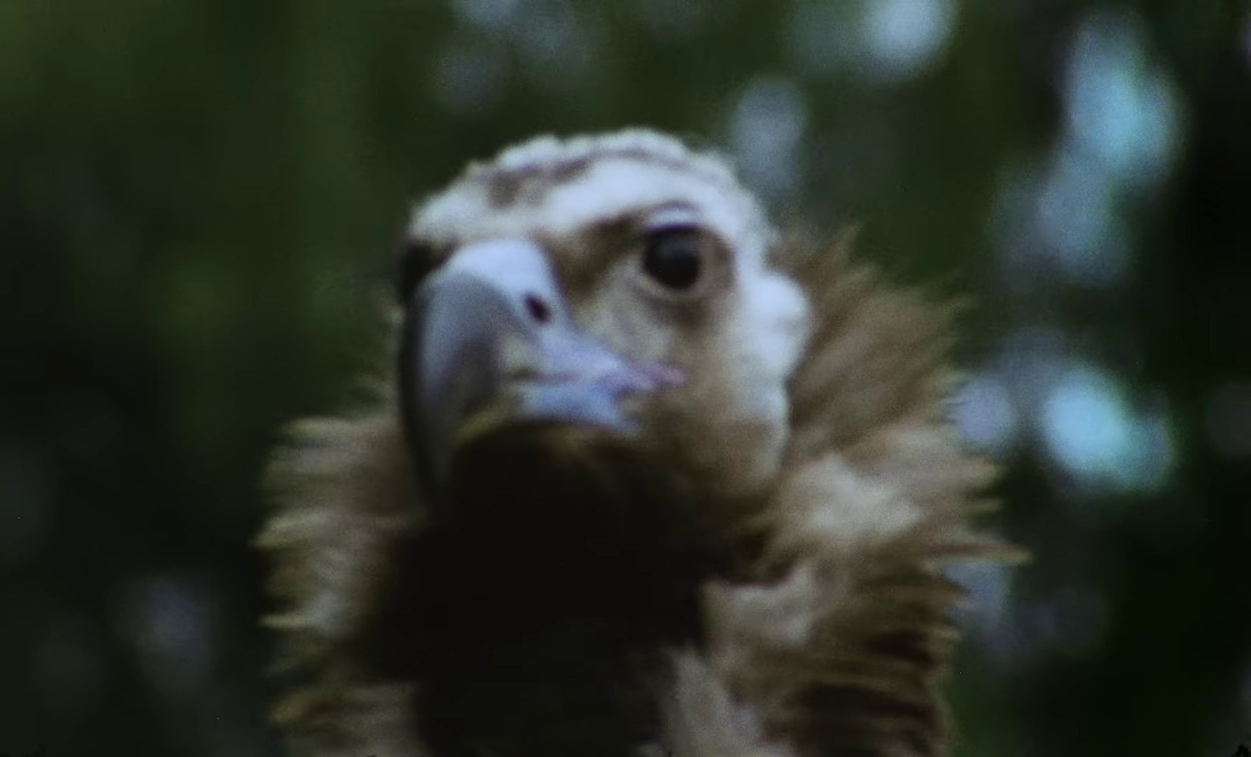 TALKING (2024) —  shot,  lighting