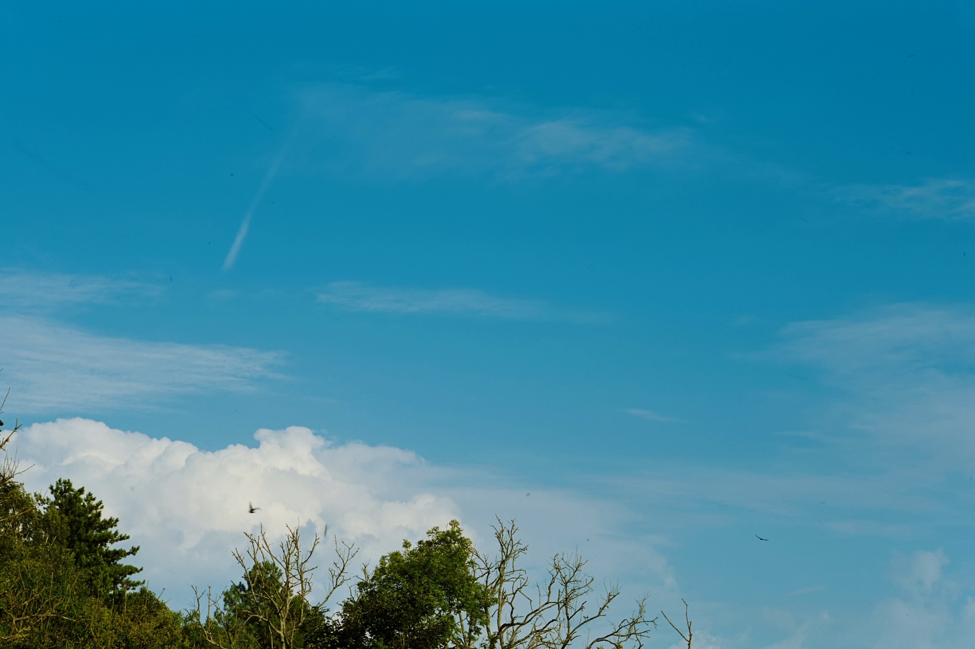 Bugonia (2025) —  shot,  lighting