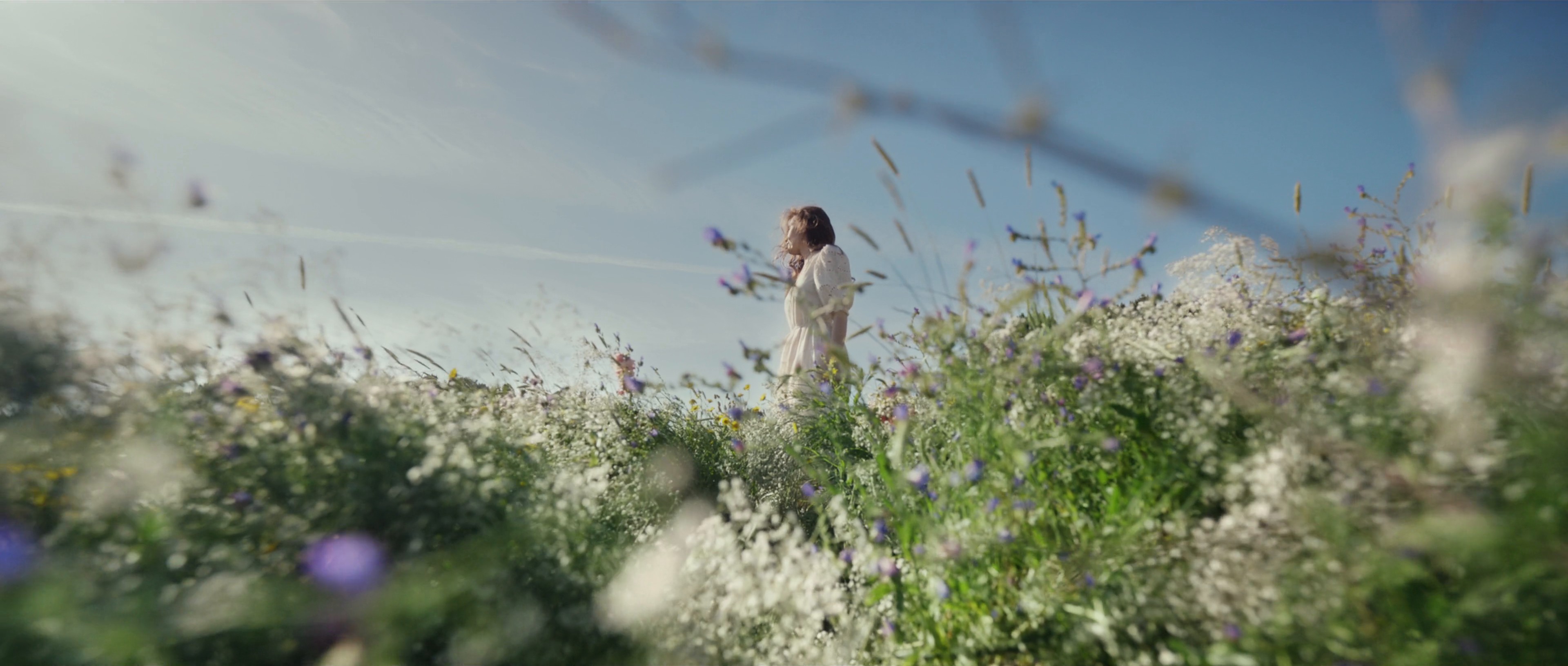 ELIZABETH ARDEN | Find Your Moment (2024) —  shot,  lighting