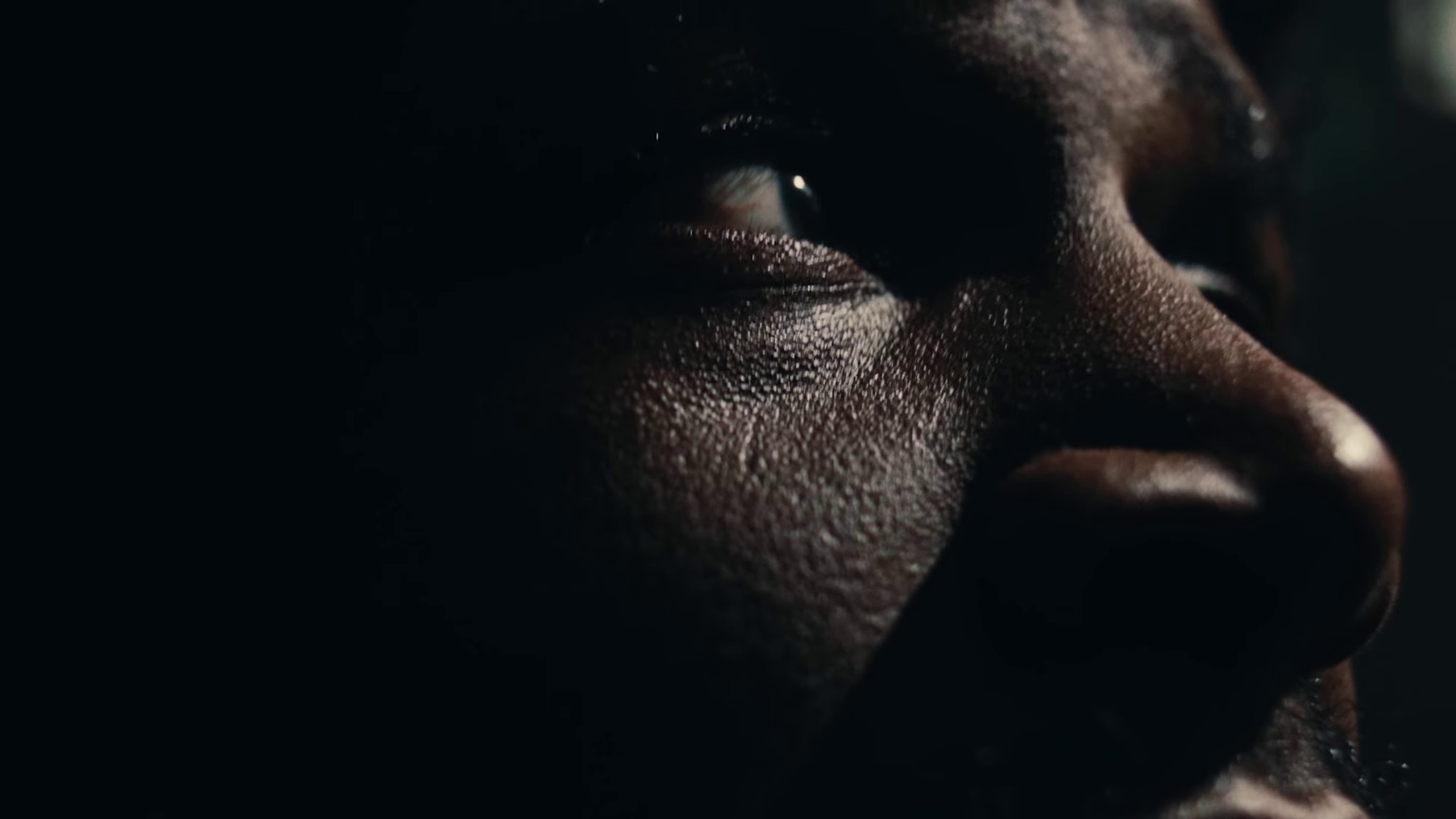 Mount Everest (2019) —  shot,  lighting