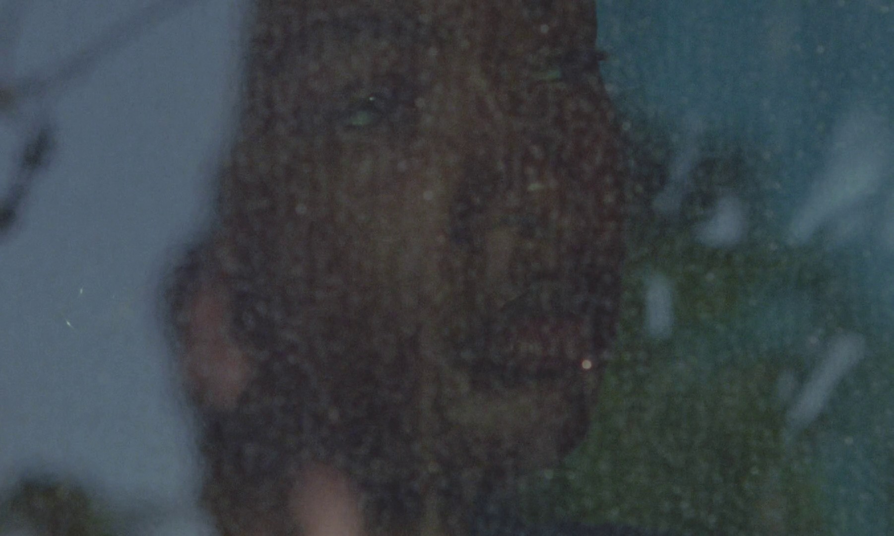 Earth Mama (2023) —  shot,  lighting