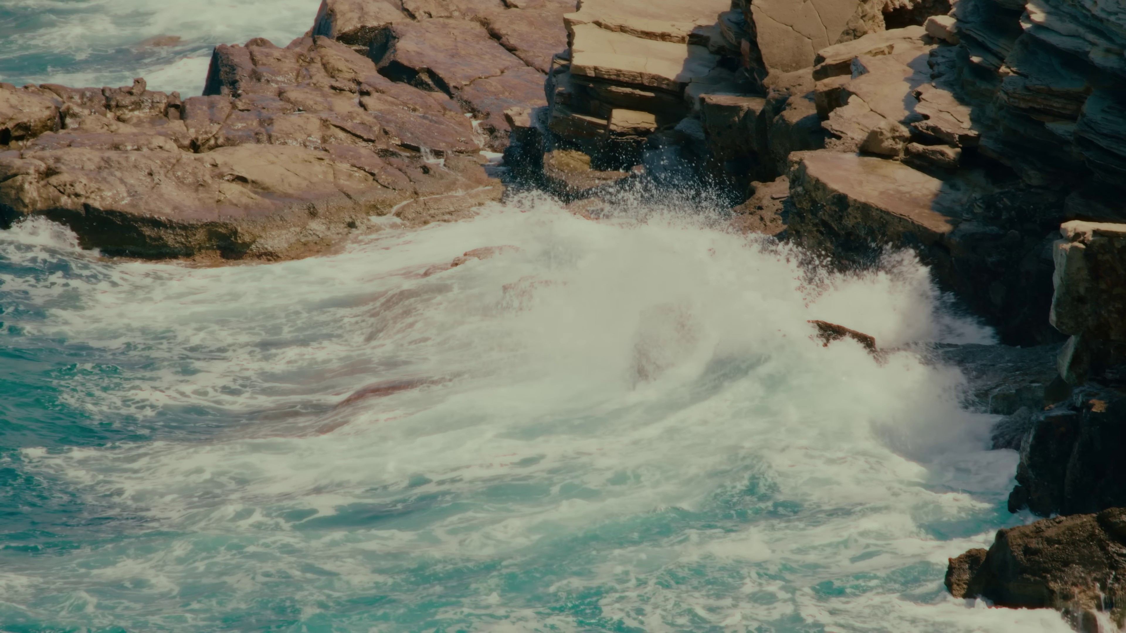 Pélican (2023) —  shot,  lighting