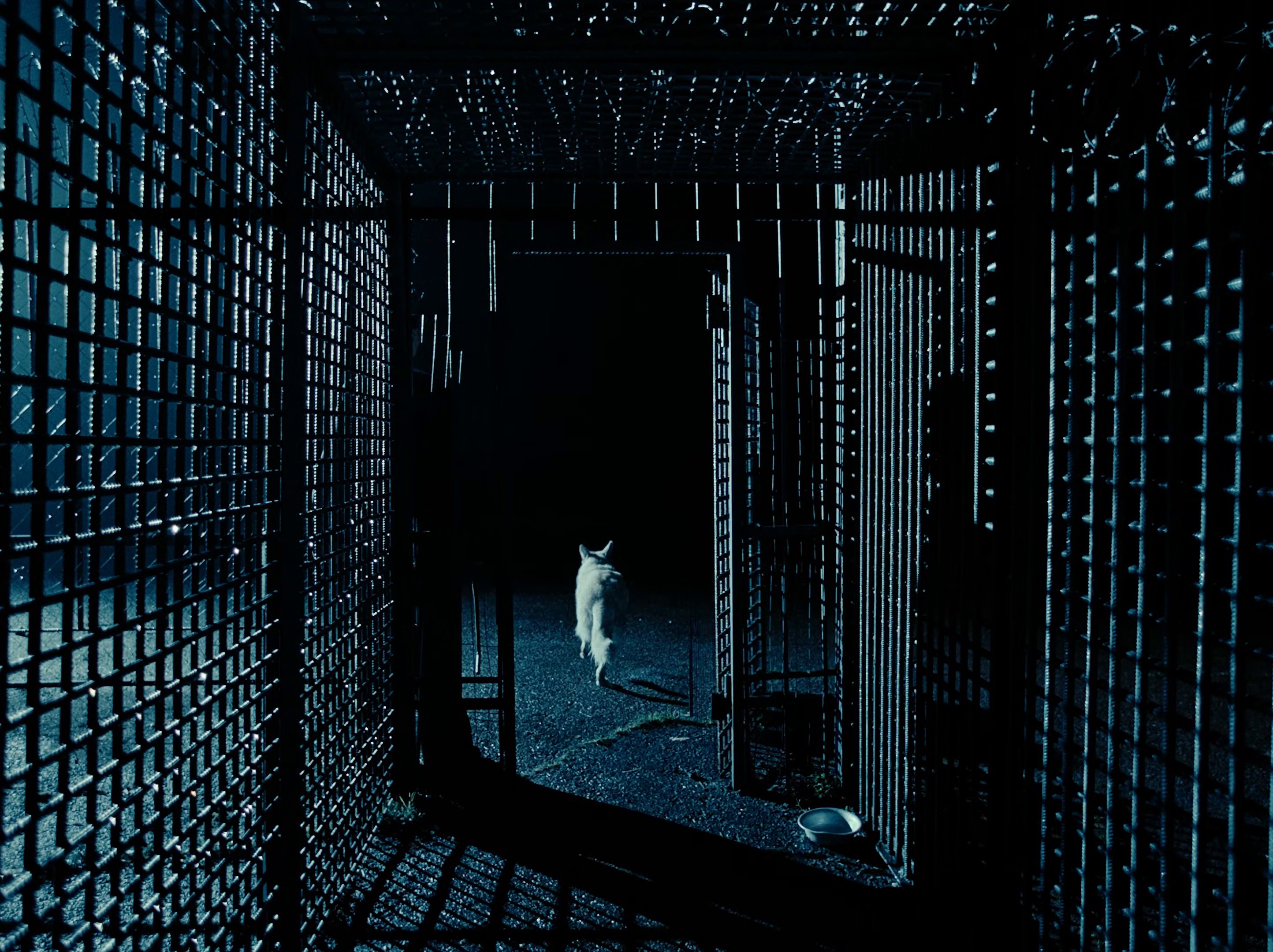 GET OUT THE WAY (2025) —  shot,  lighting