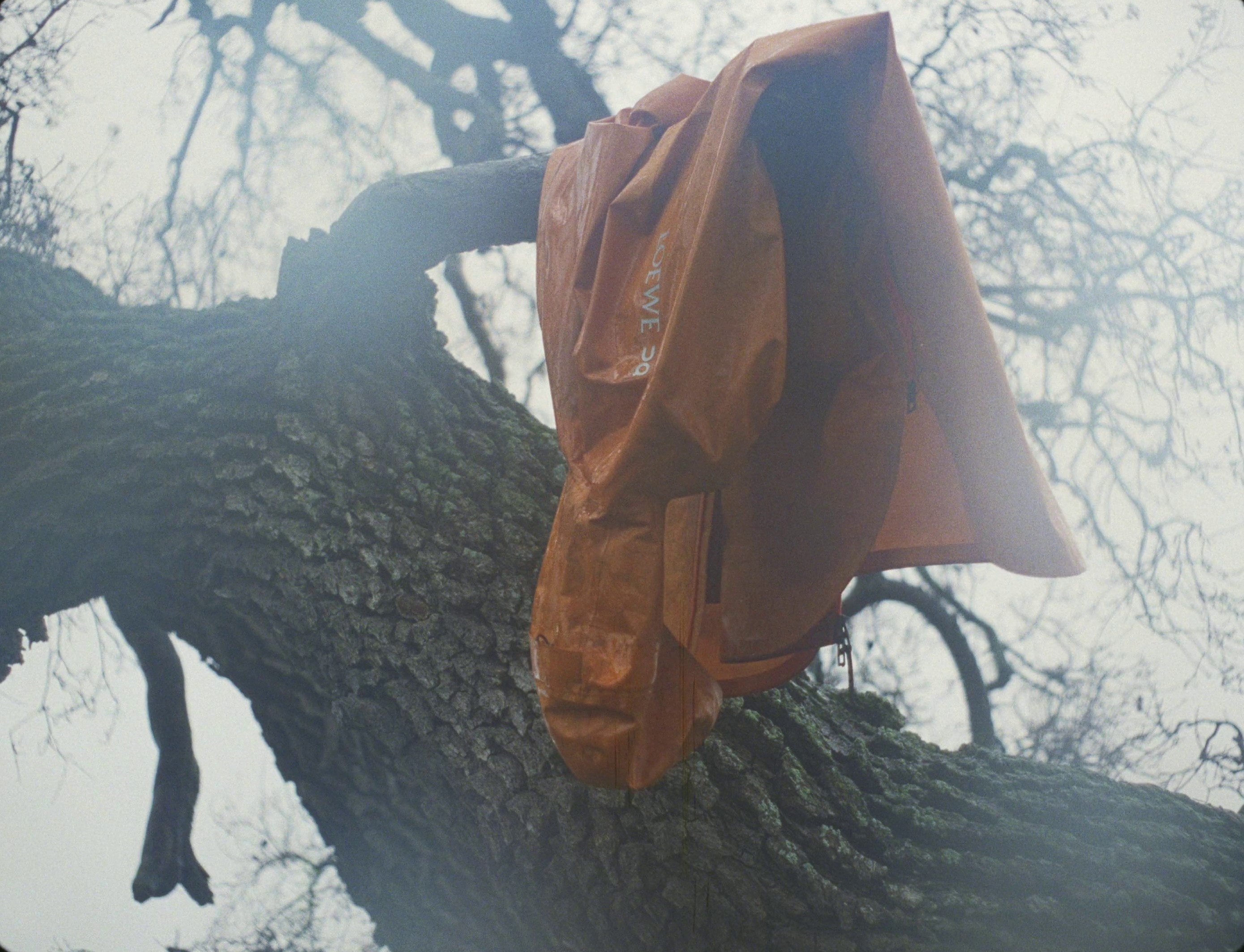 loewe X on | the breath (2024) —  shot,  lighting