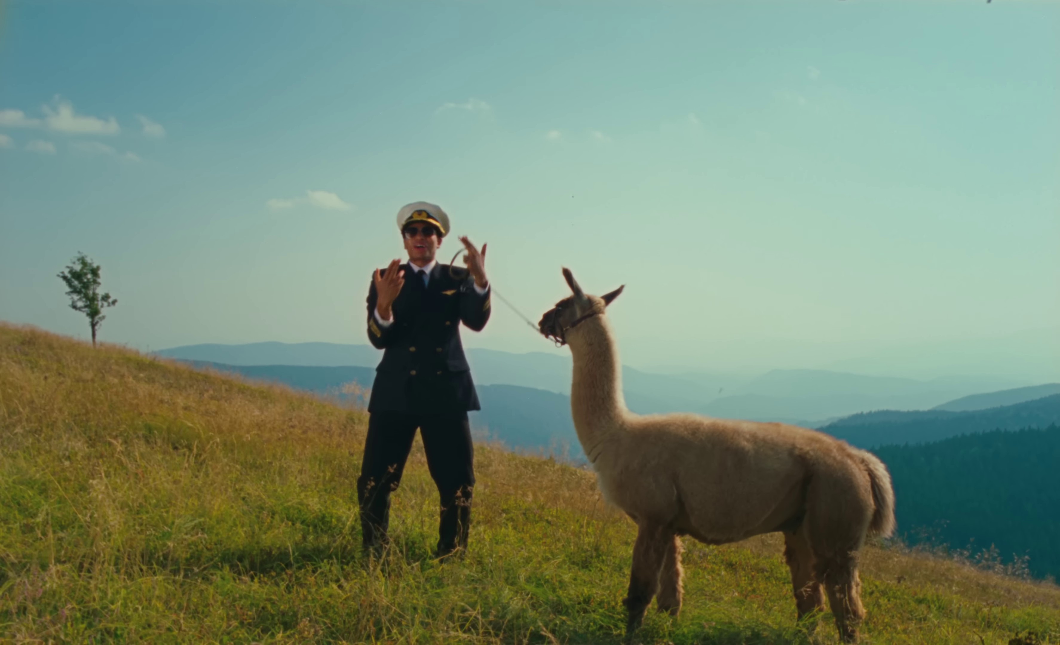 Captain Ants (2023) —  shot,  lighting