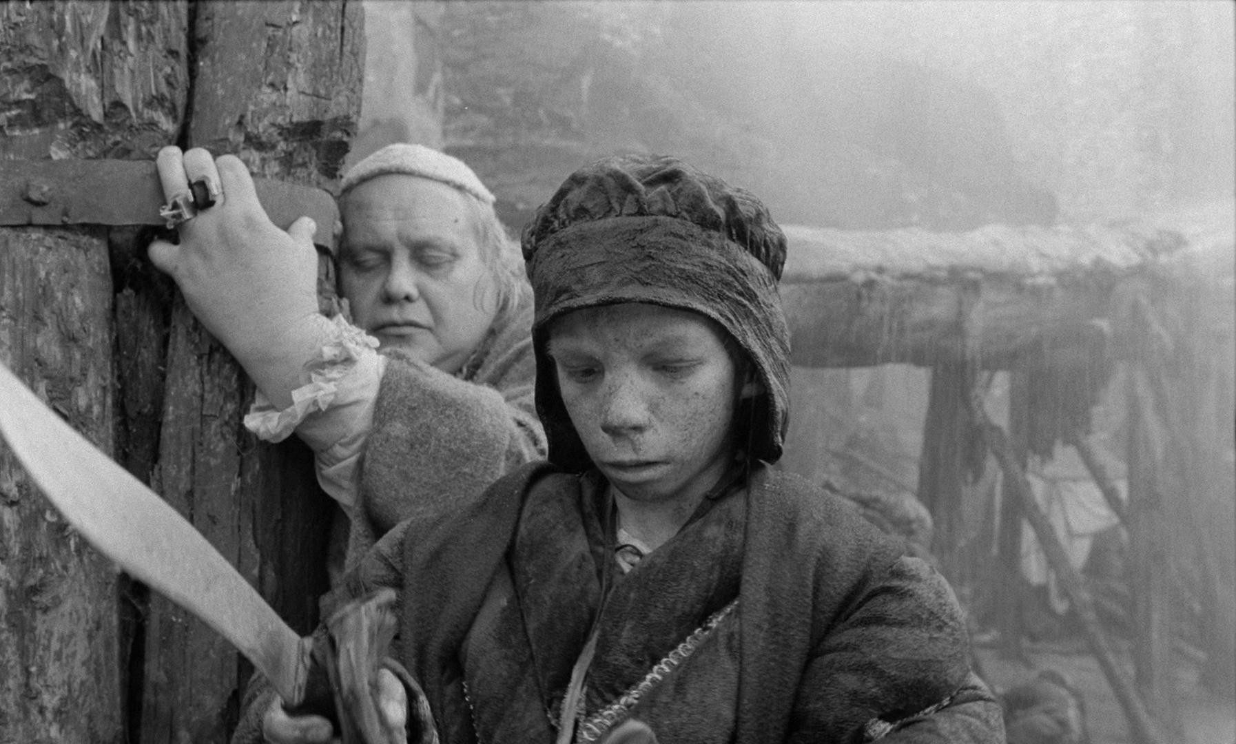 Hard to Be a God (2015) —  shot,  lighting