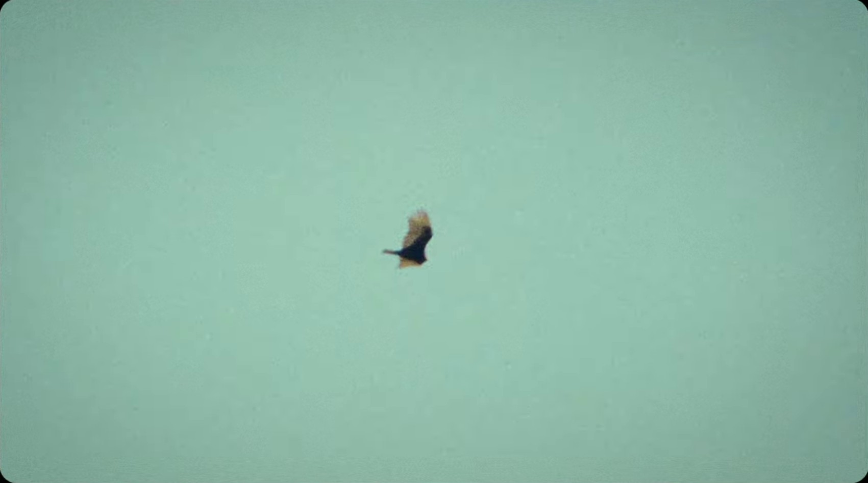 can't slow down (2024) —  shot,  lighting