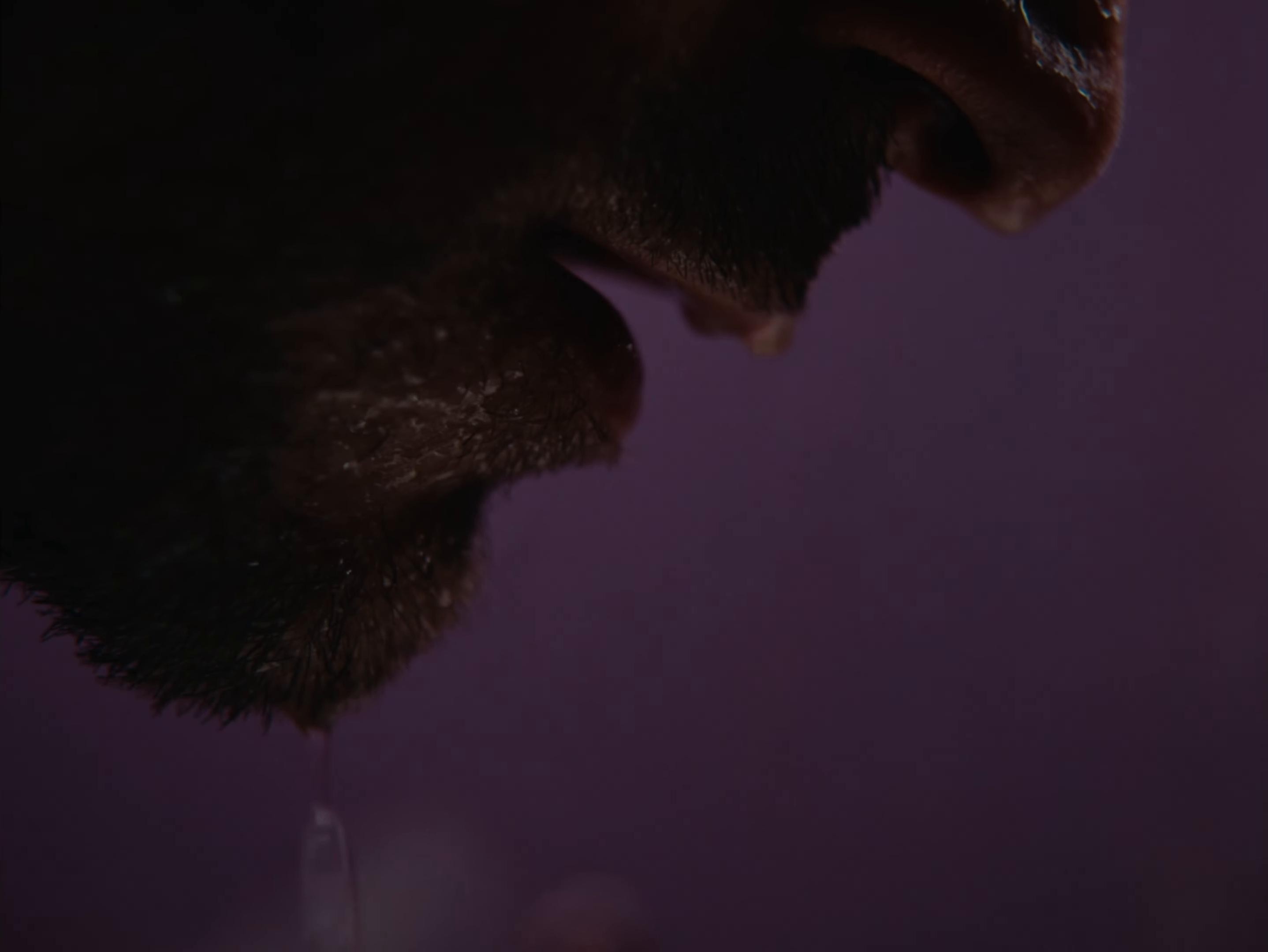 Nun da Wally? (2025) —  shot,  lighting