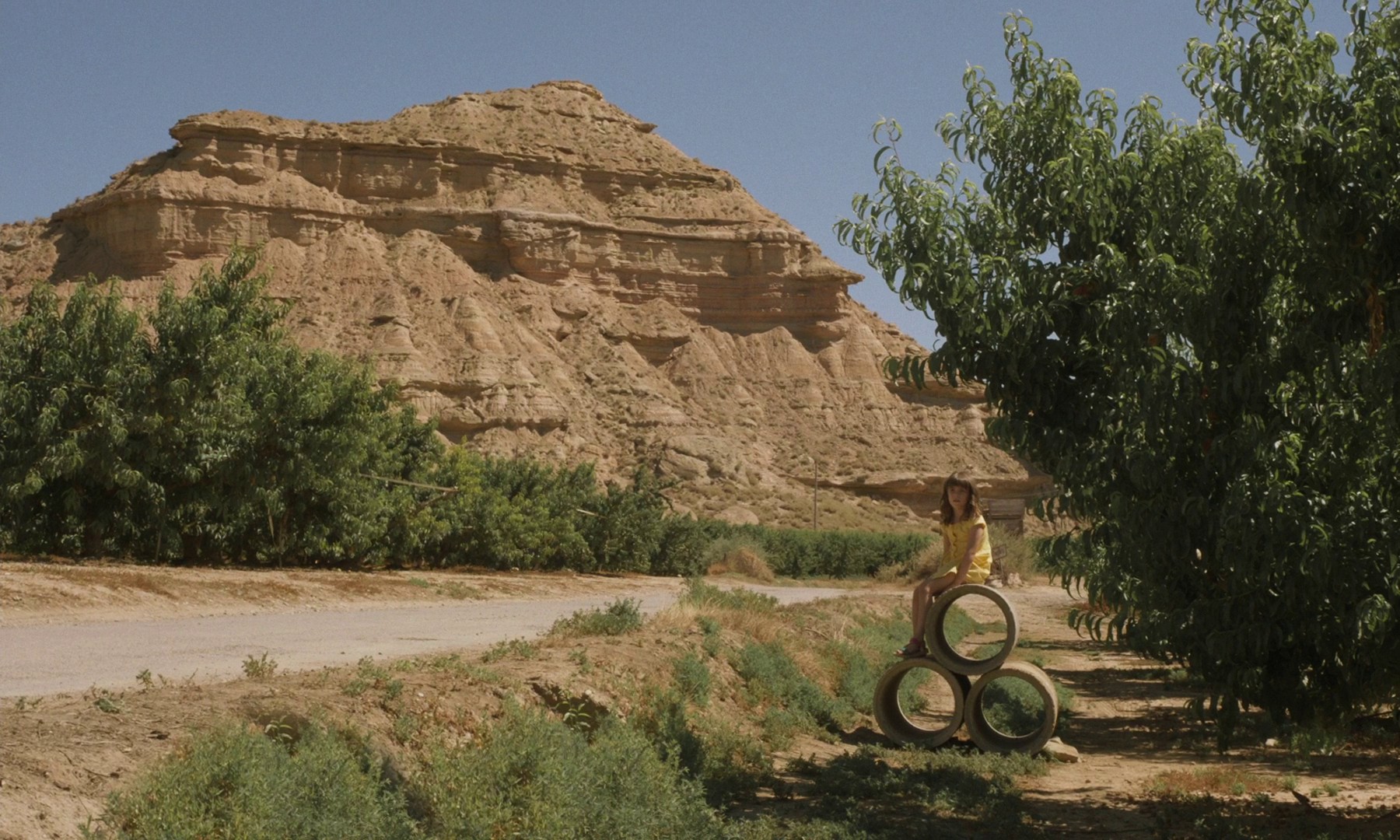 Alcarras (2022) —  shot,  lighting