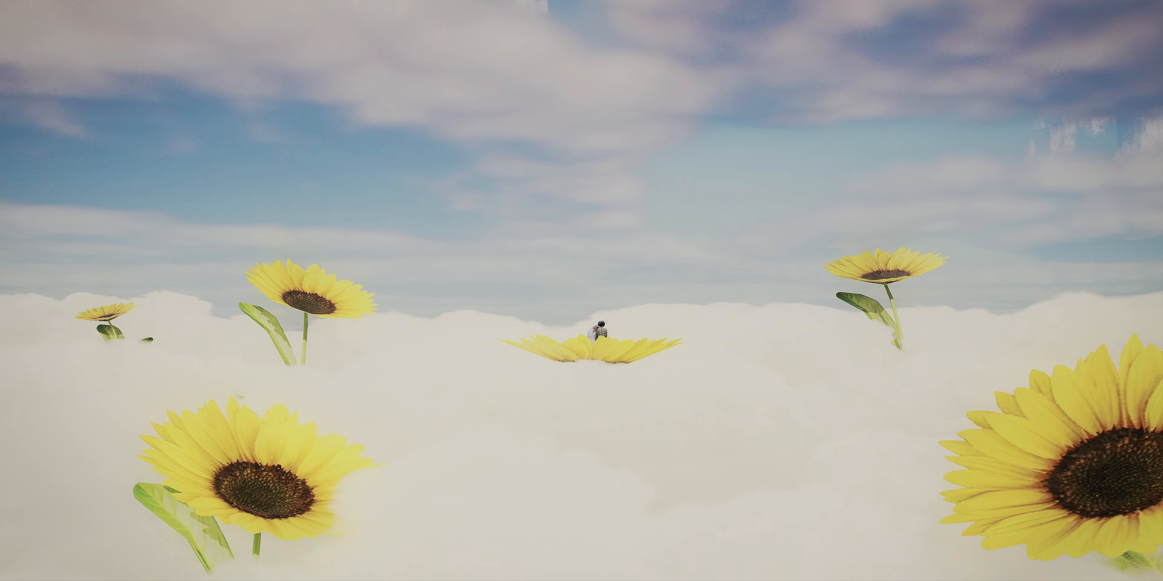 Tournesols (2025) —  shot,  lighting