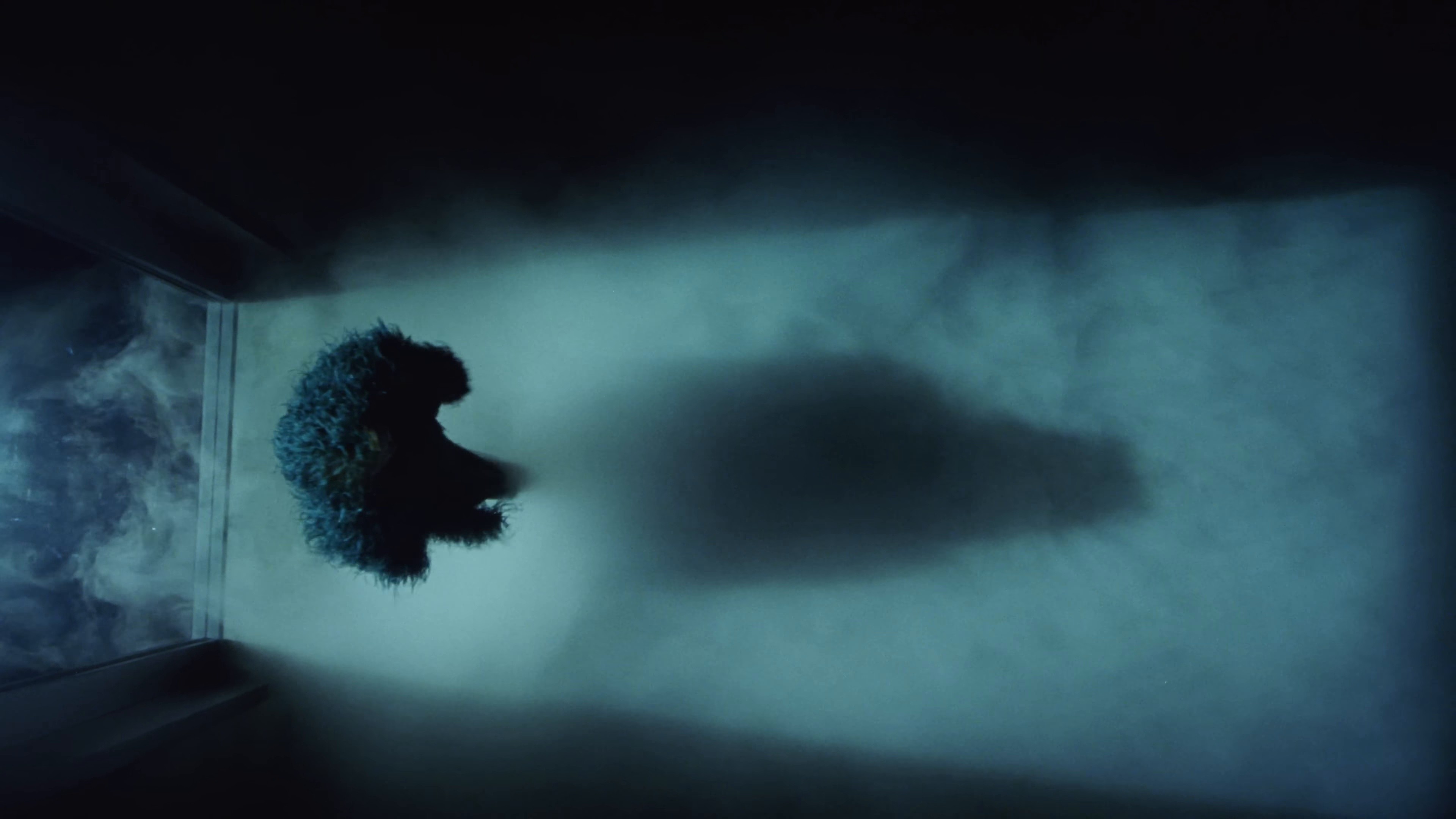 Something Beautiful (2025) —  shot,  lighting