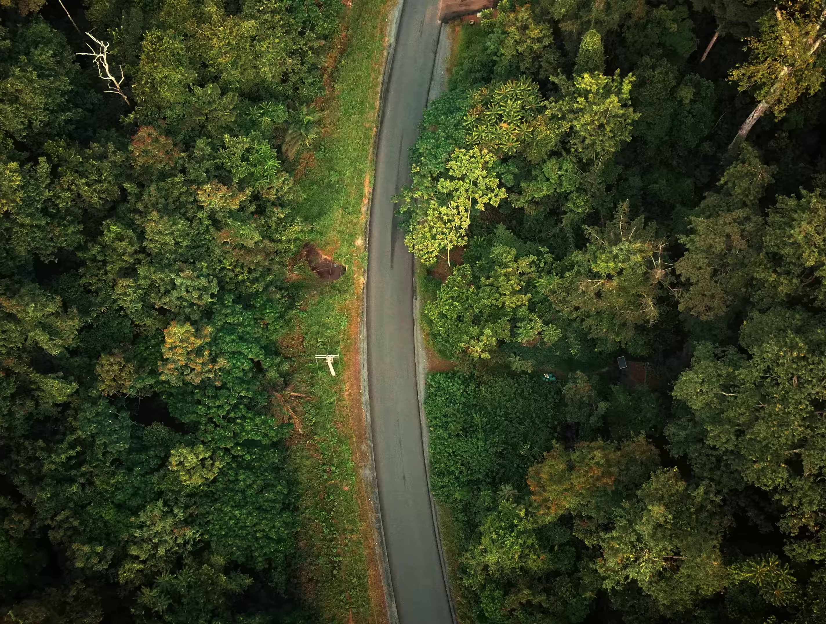 Bienvenue à B'Hell Vue (2023) —  shot,  lighting