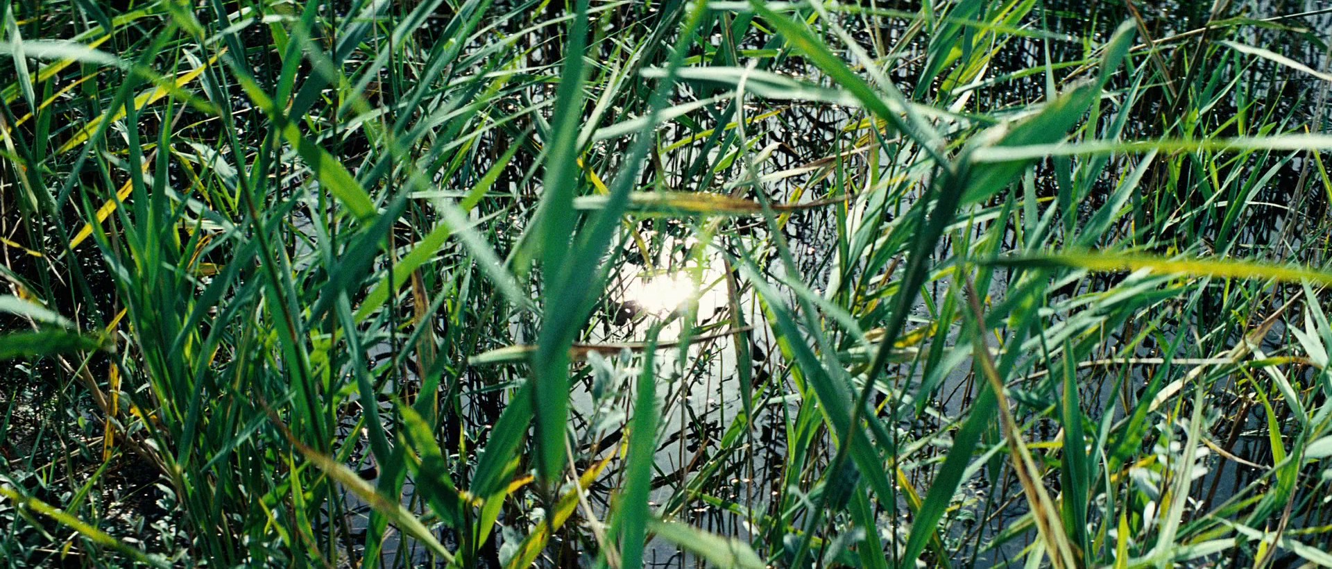 Outside Satan (2011) —  shot,  lighting