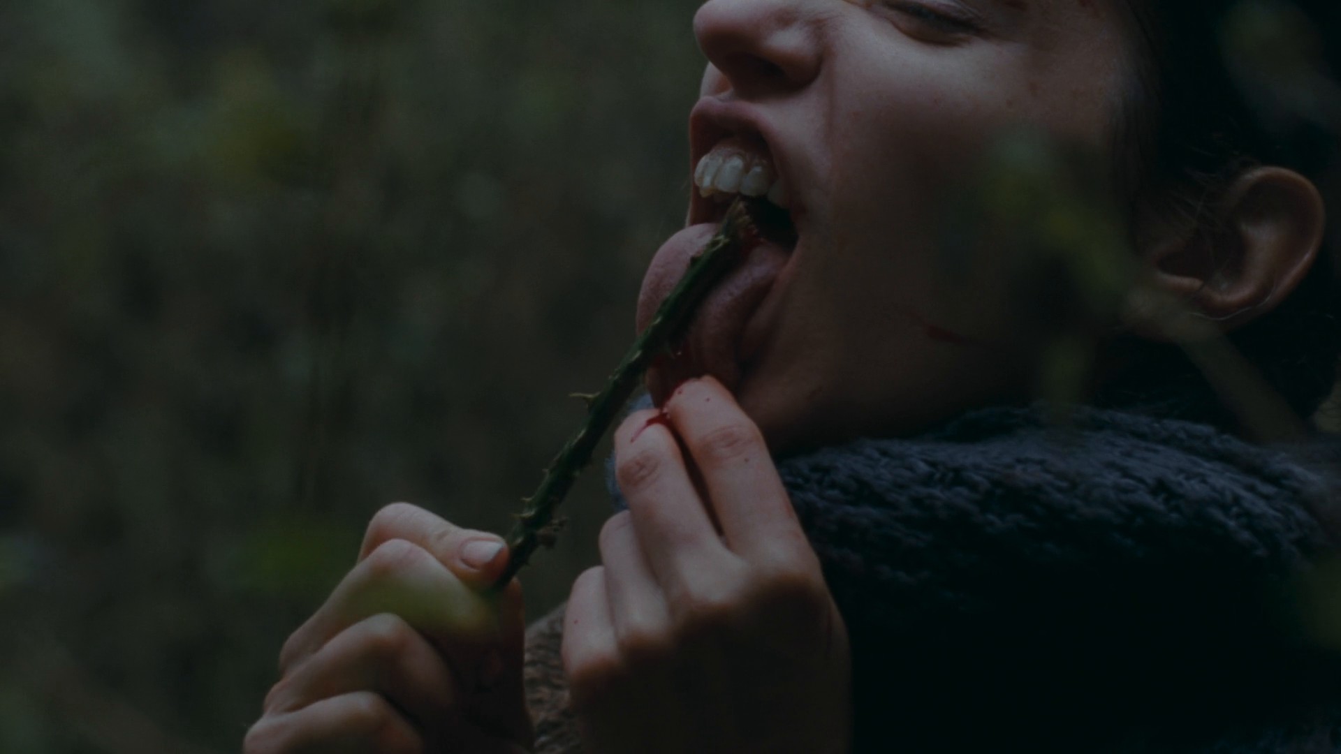 The Devil's Bath (2024) —  shot,  lighting