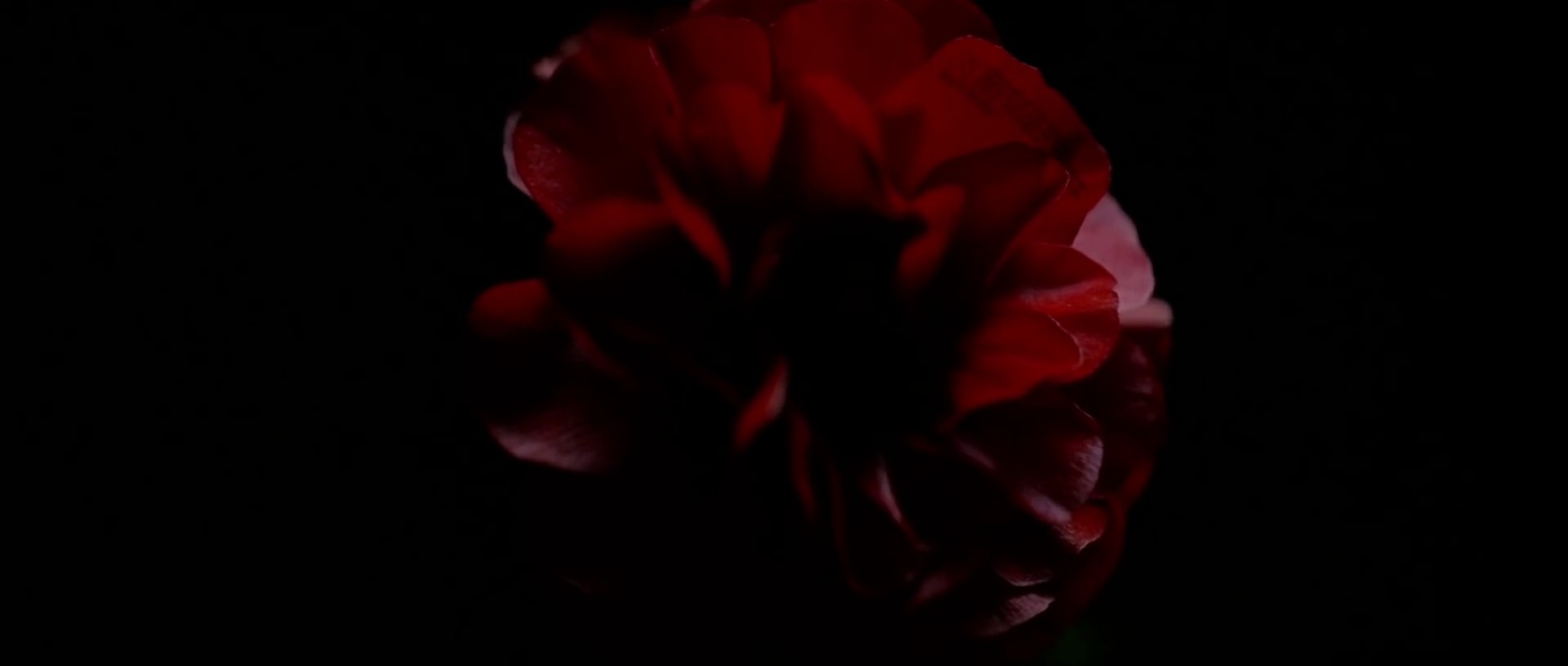 Lost in the Fire (2019) —  shot,  lighting