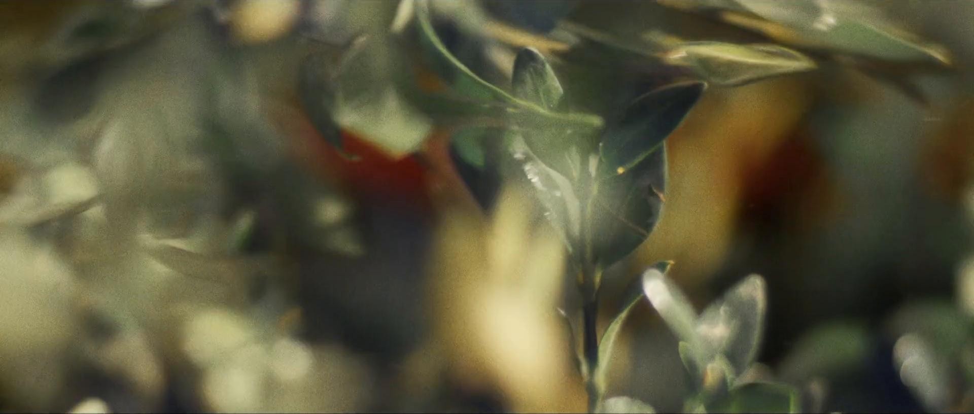 HomeDepot_Demolishing_Washing_Drilling_Trimming (2018) —  shot,  lighting