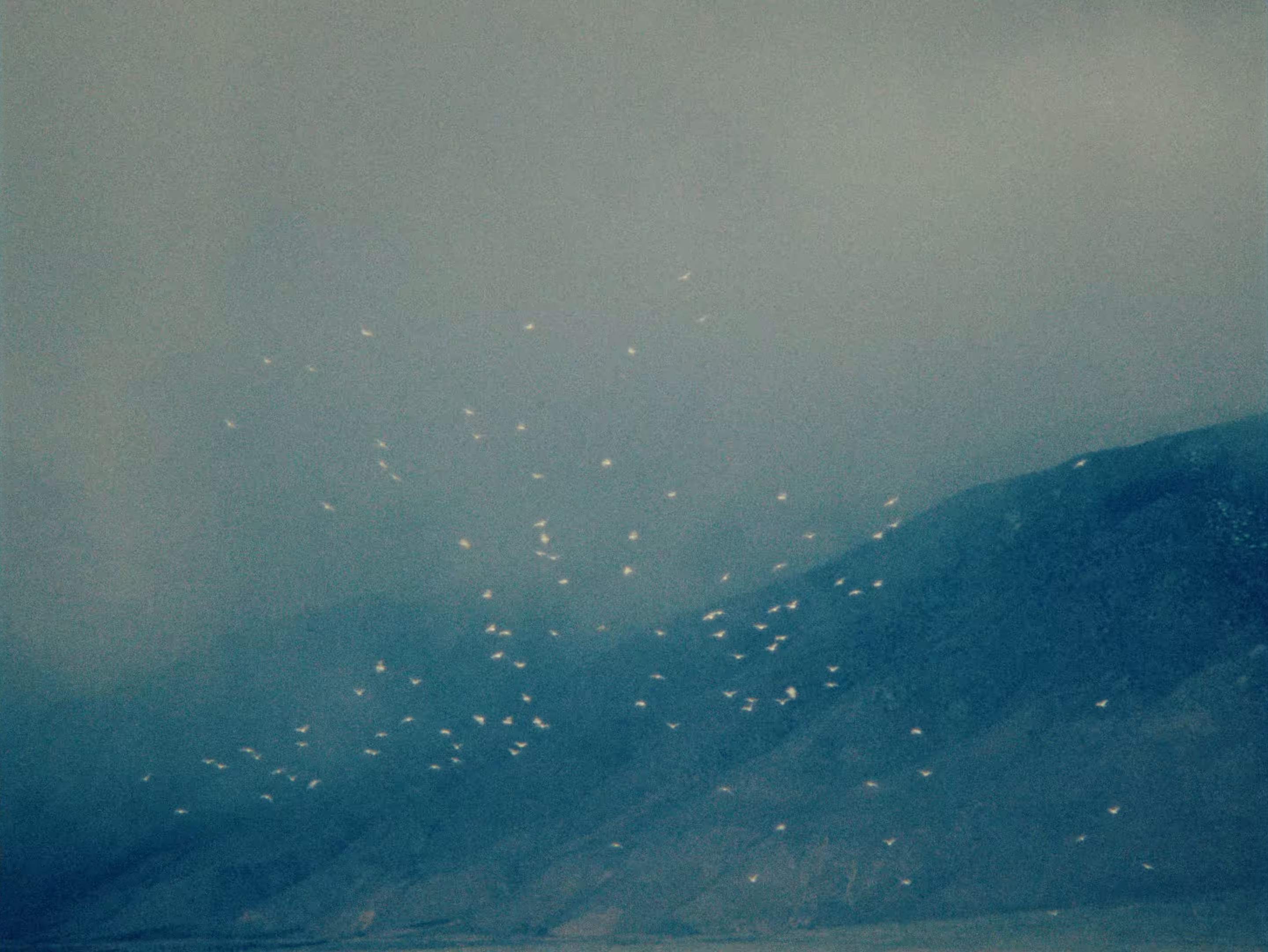 Luz del Mar (2024) —  shot,  lighting