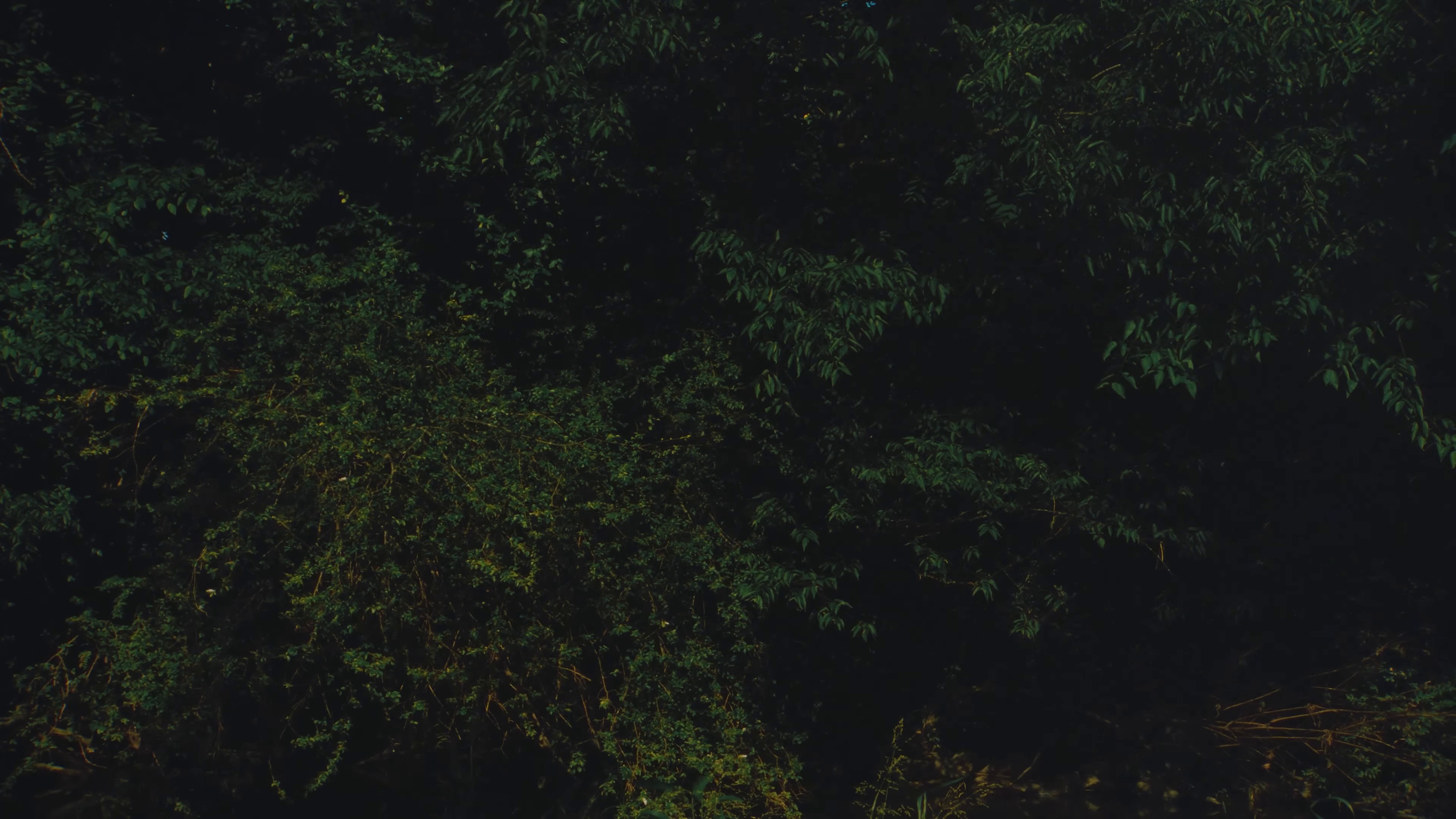 Running Out Of Time (2024) —  shot,  lighting