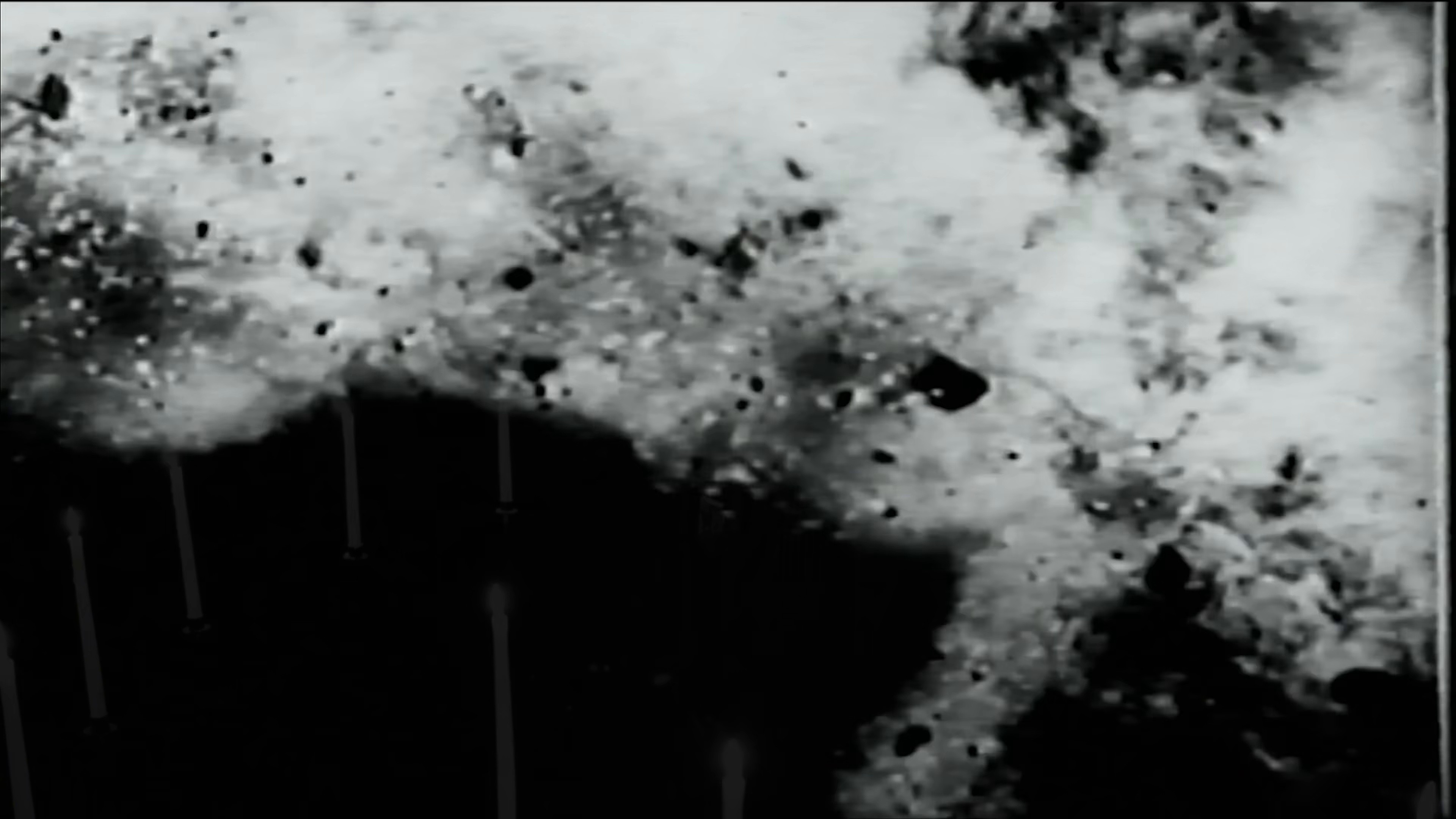 LOST MY DOG (2025) —  shot,  lighting