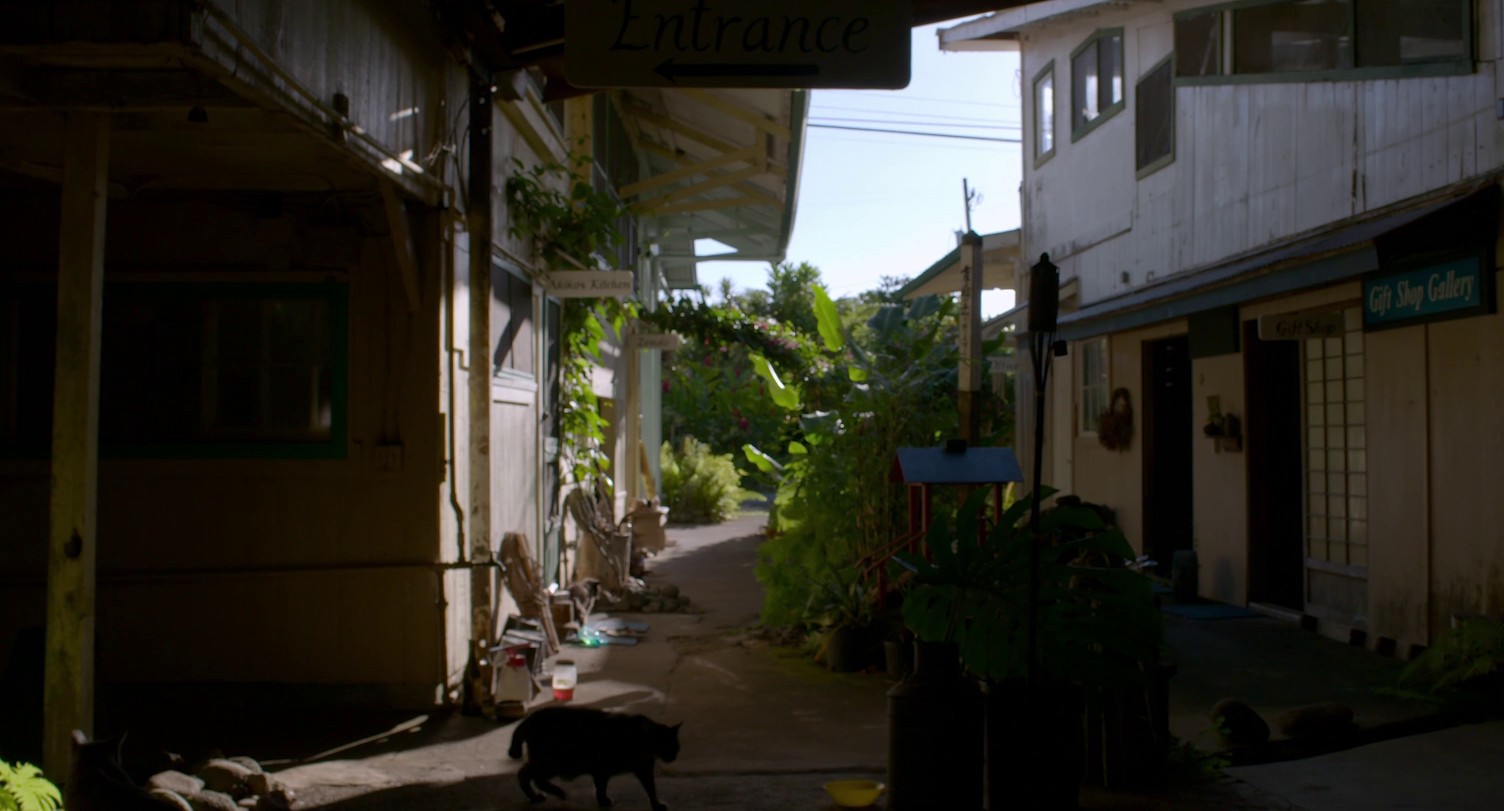 August at Akiko's (2018) —  shot,  lighting