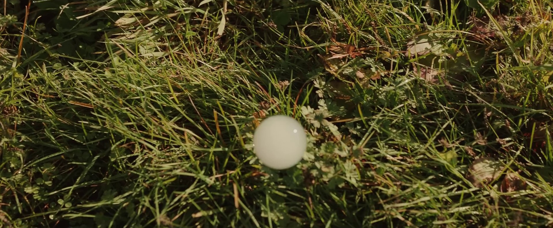 Volkswagen (2022) —  shot,  lighting