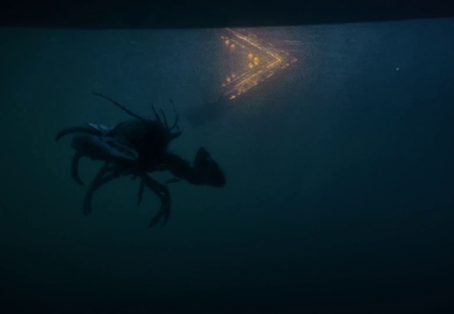 We're Good  (2021) —  shot,  lighting