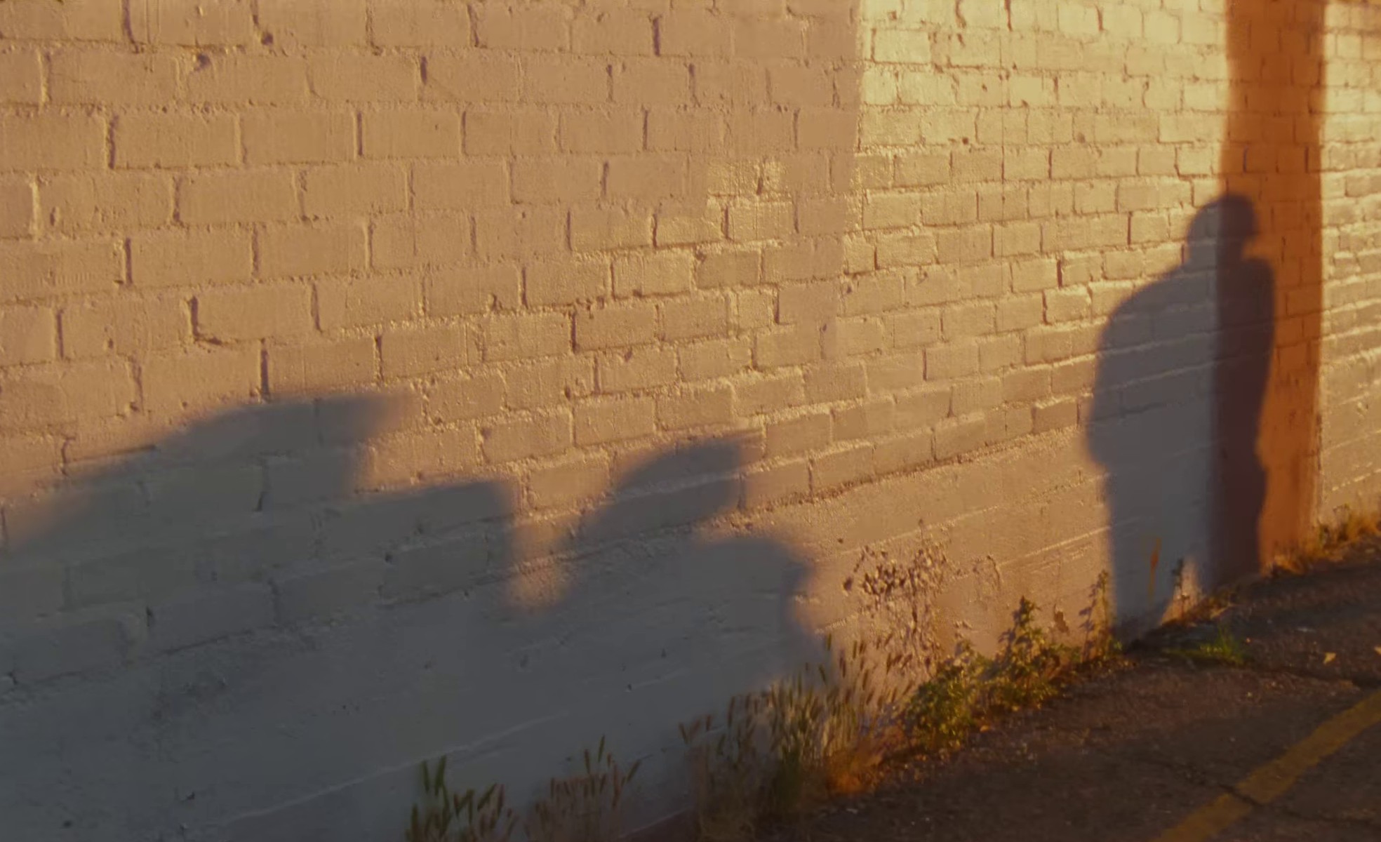 delusional world champion (2023) —  shot,  lighting