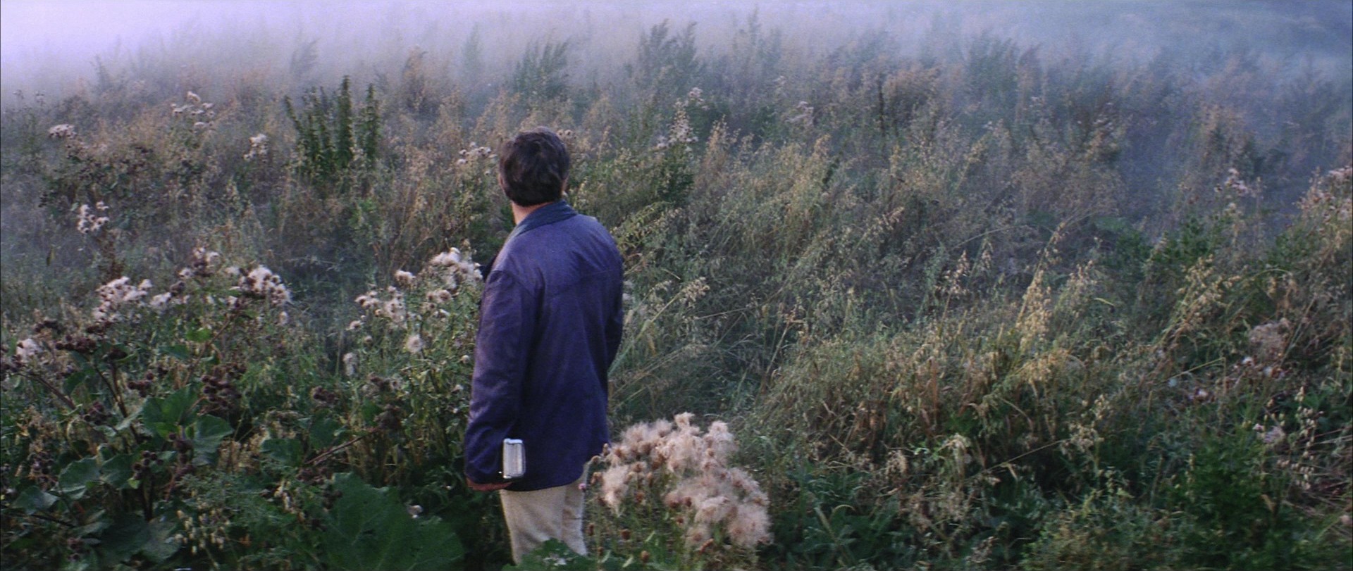 Solaris (1972) —  shot,  lighting