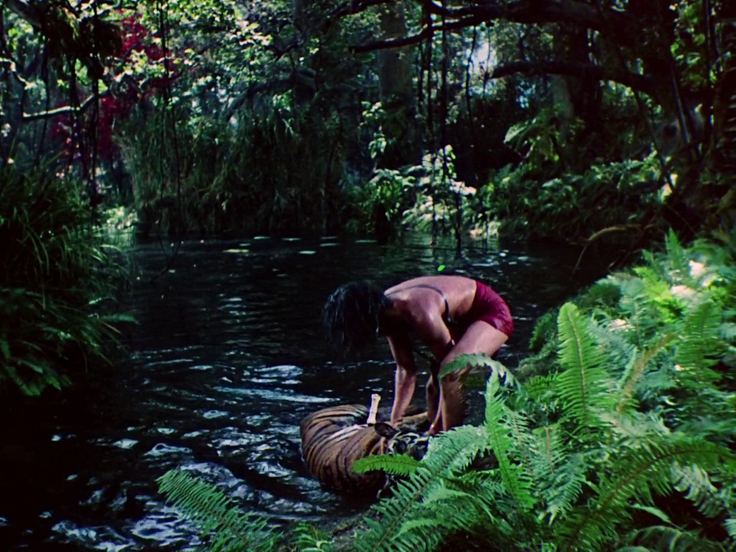 Jungle Book (1942) —  shot,  lighting